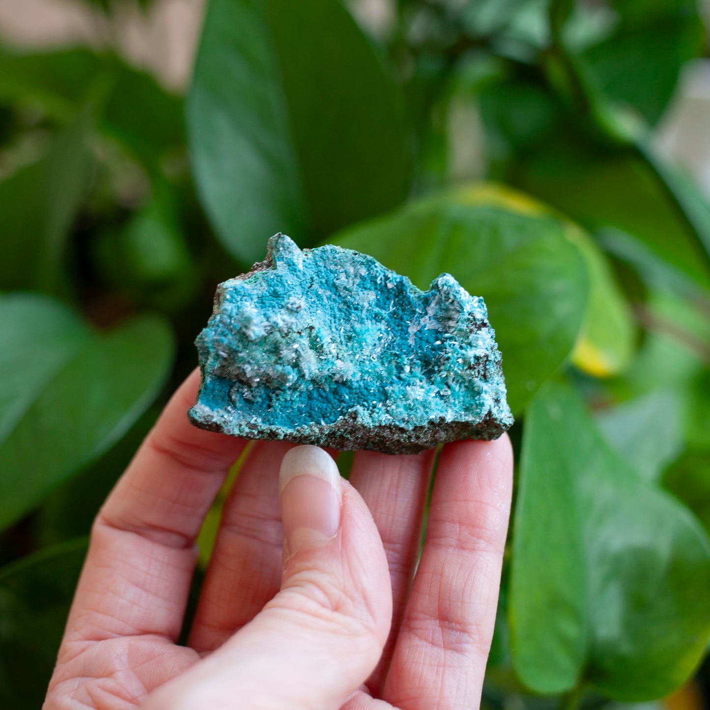Select Stone Set No. 3: Green Garnet, Aurichalcite, Chrysocolla, Blue Opal