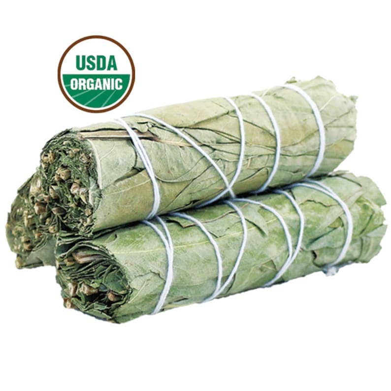 Eucalyptus Sage Smudge Stick 4in, USDA Organic