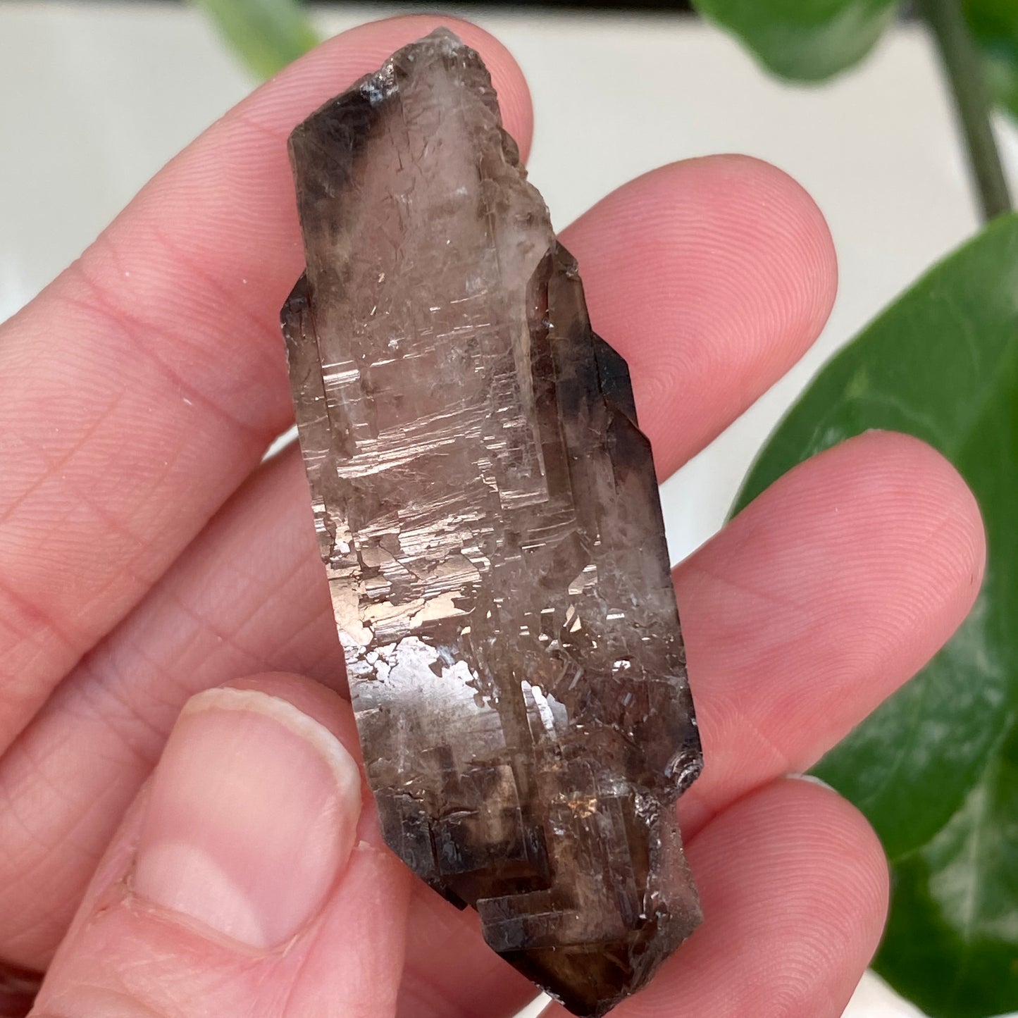 Smoky Quartz, Tabby, Double Terminated