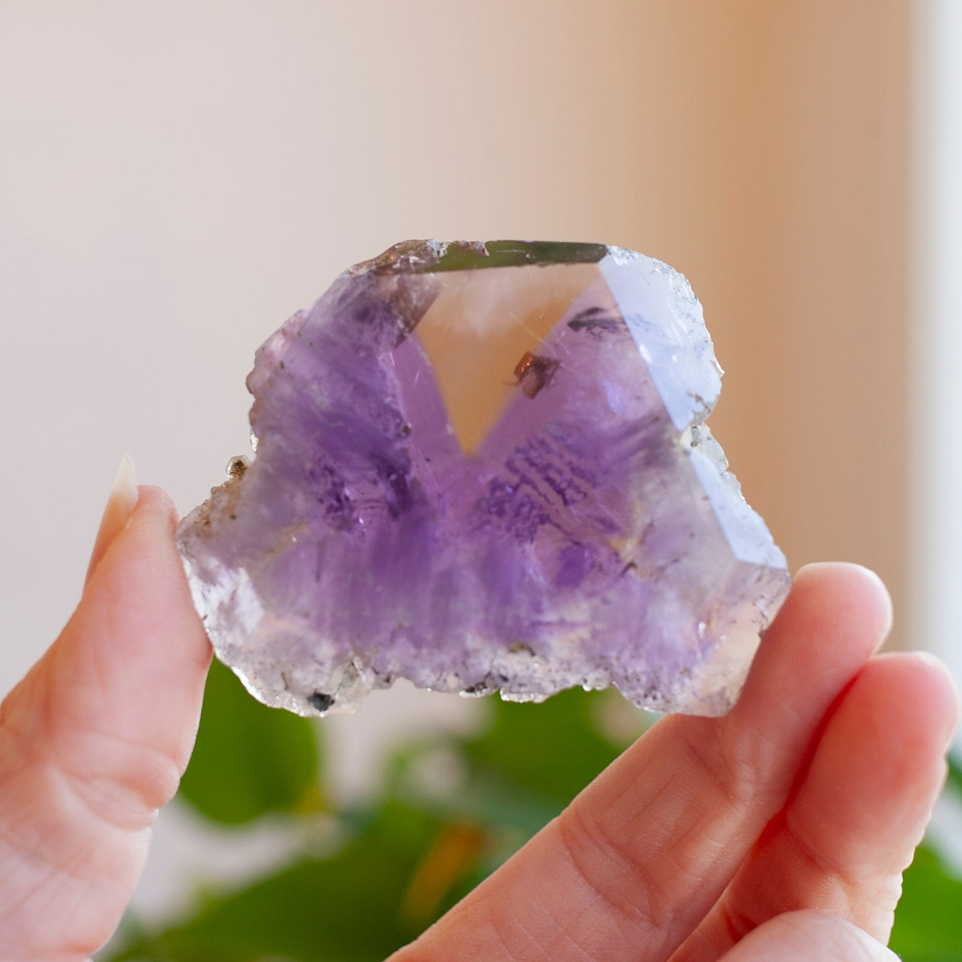 Ametrine Slice, Bolivia