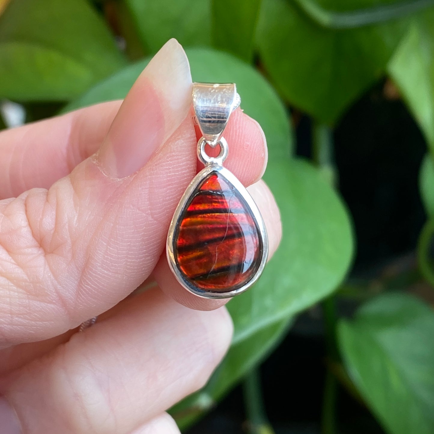 Ammolite Pendant, Sterling Silver
