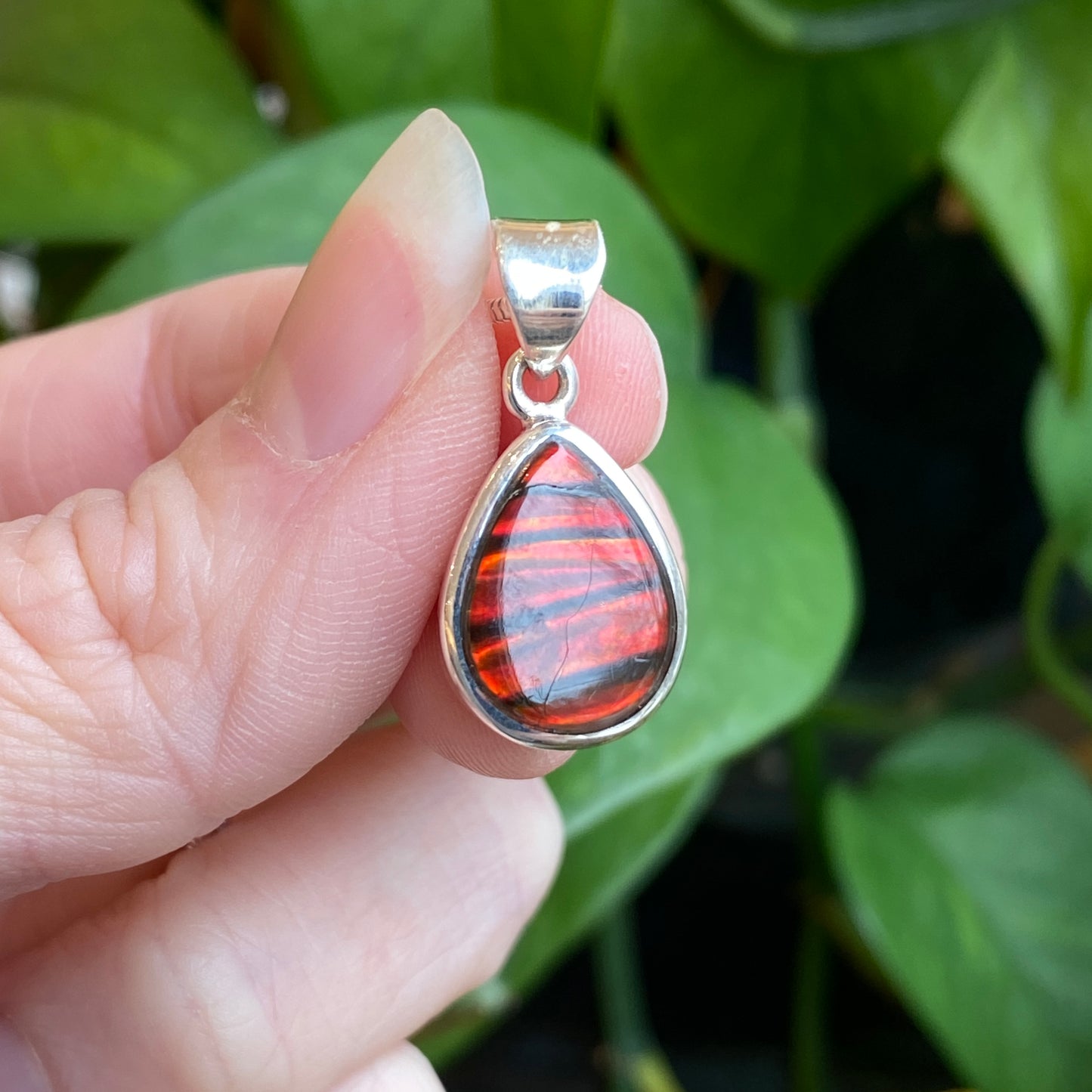 Ammolite Pendant, Sterling Silver