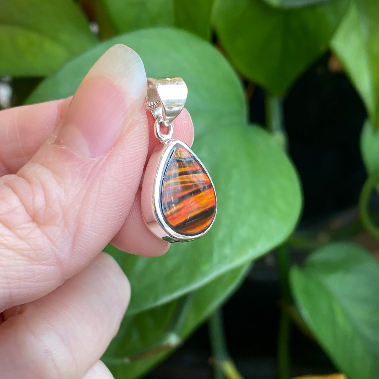 Ammolite Pendant, Sterling Silver
