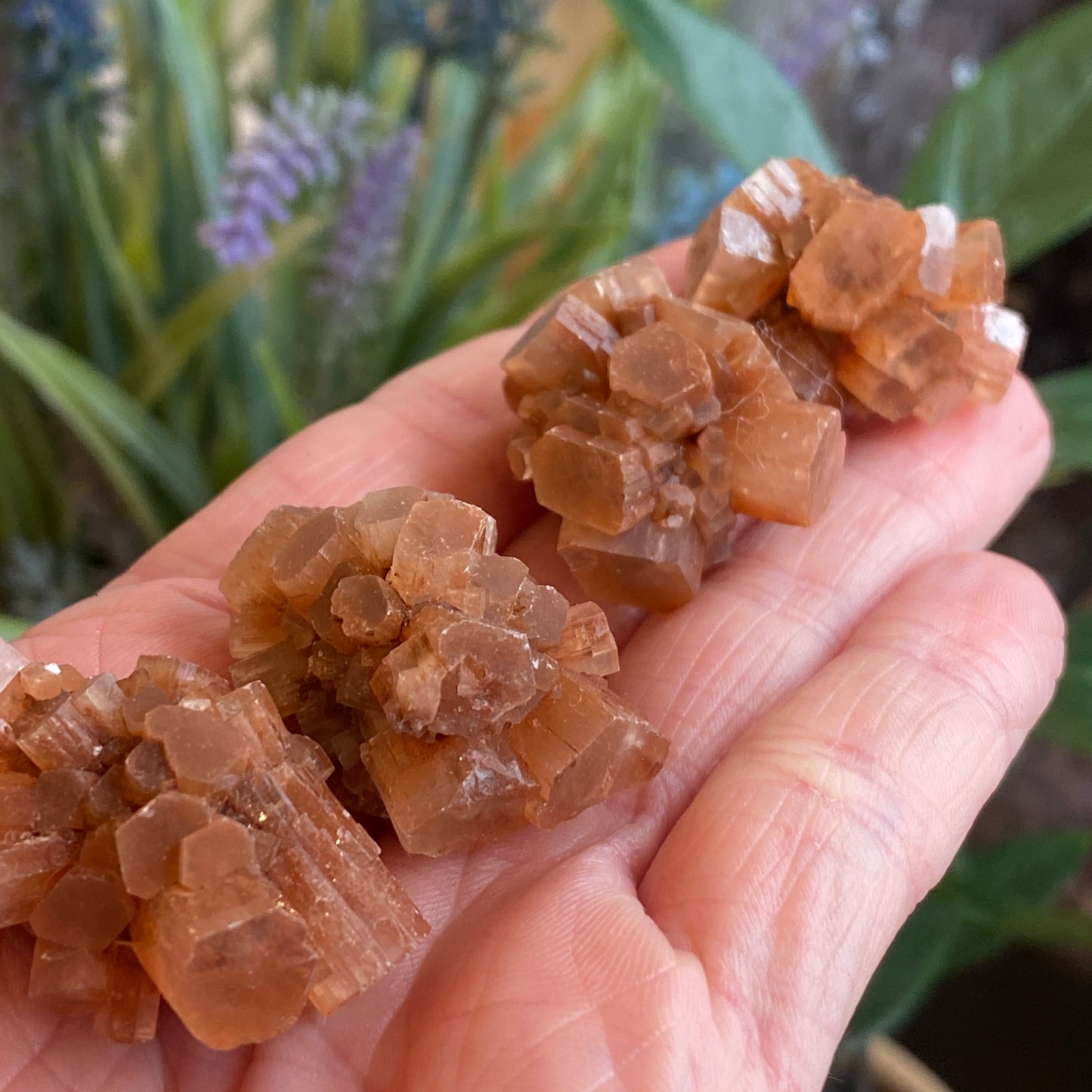 Aragonite Cluster