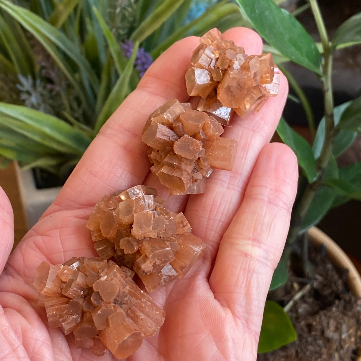 Aragonite Cluster