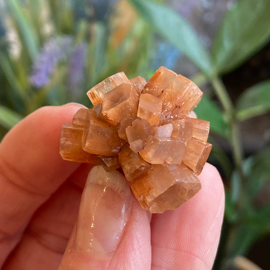Aragonite Cluster