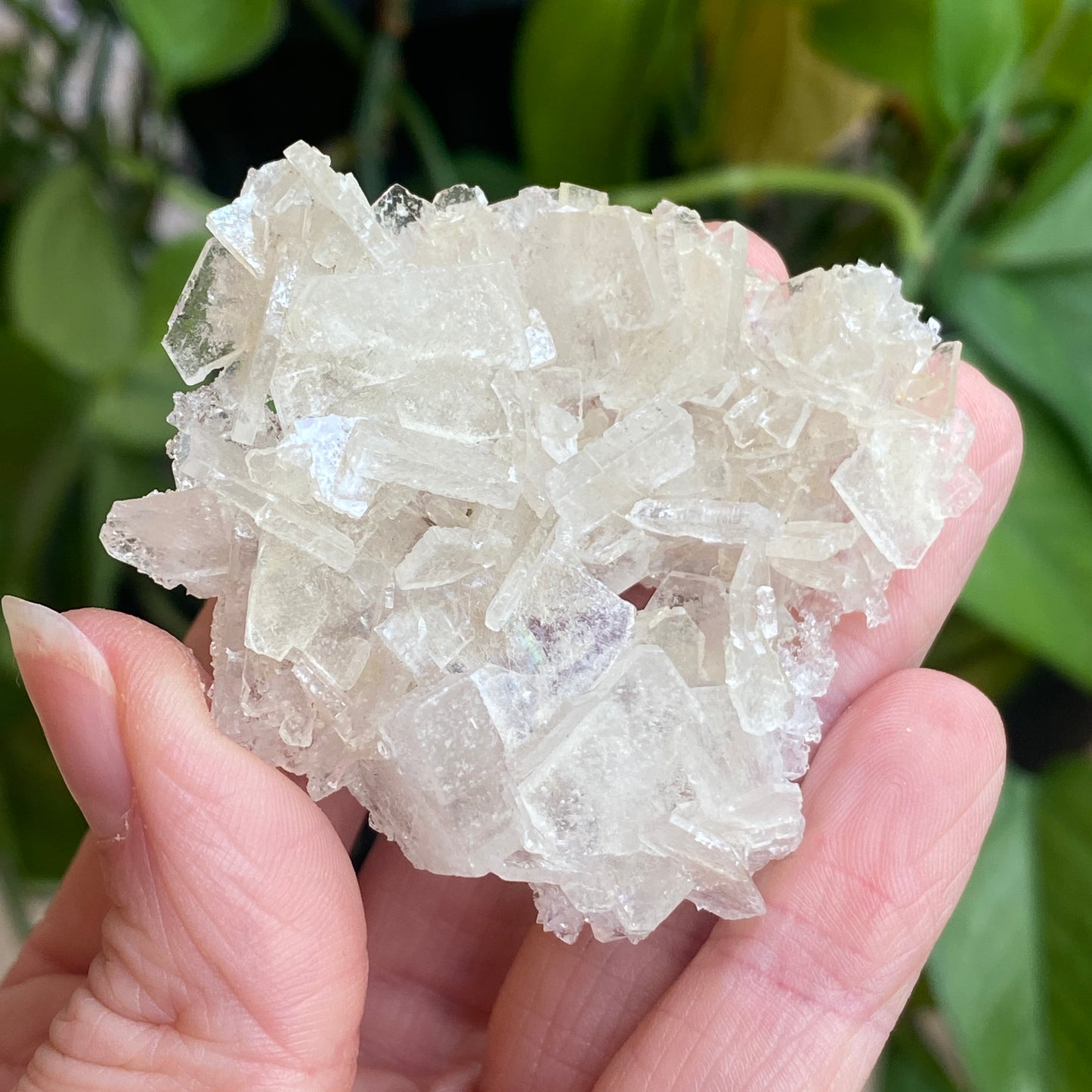 Barite on Apophyllite Specimen