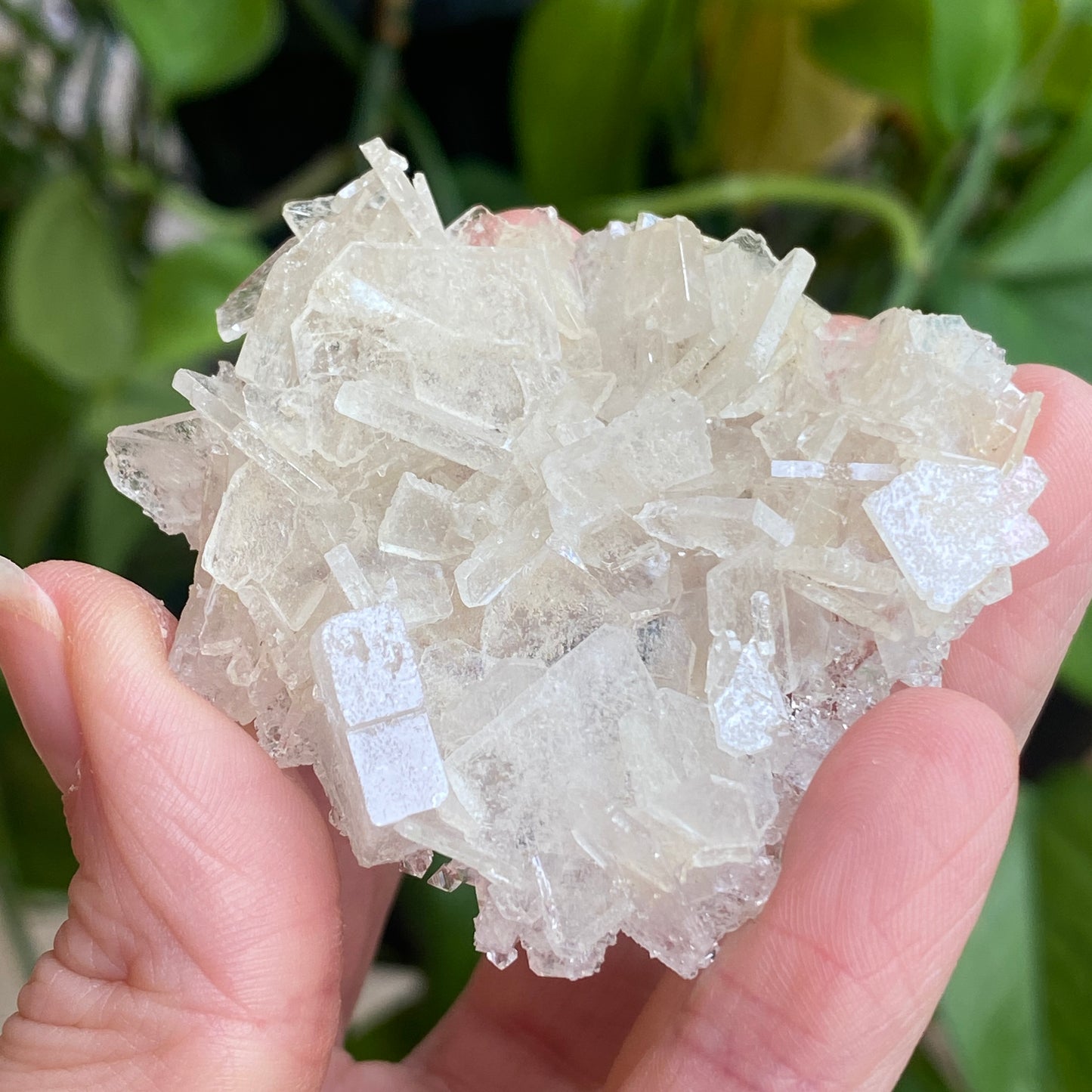 Barite on Apophyllite Specimen
