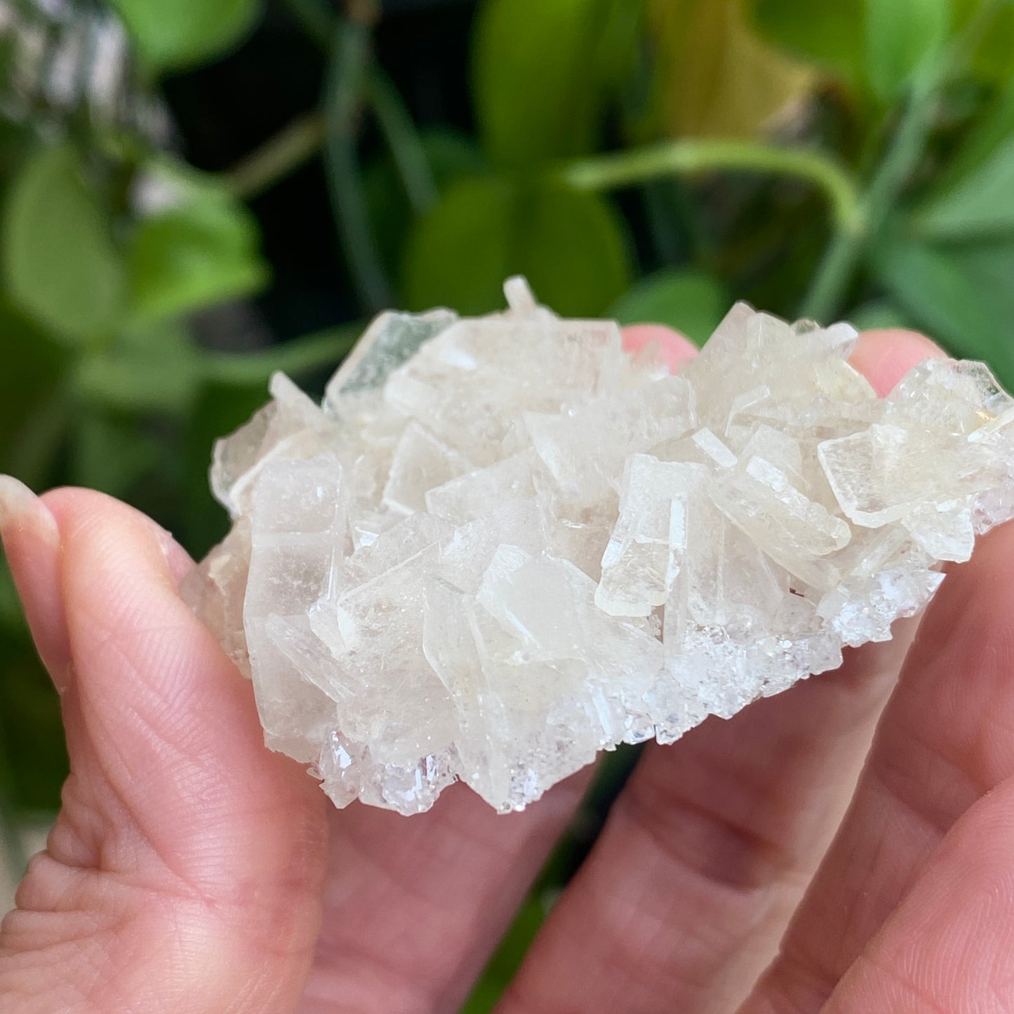 Barite on Apophyllite Specimen