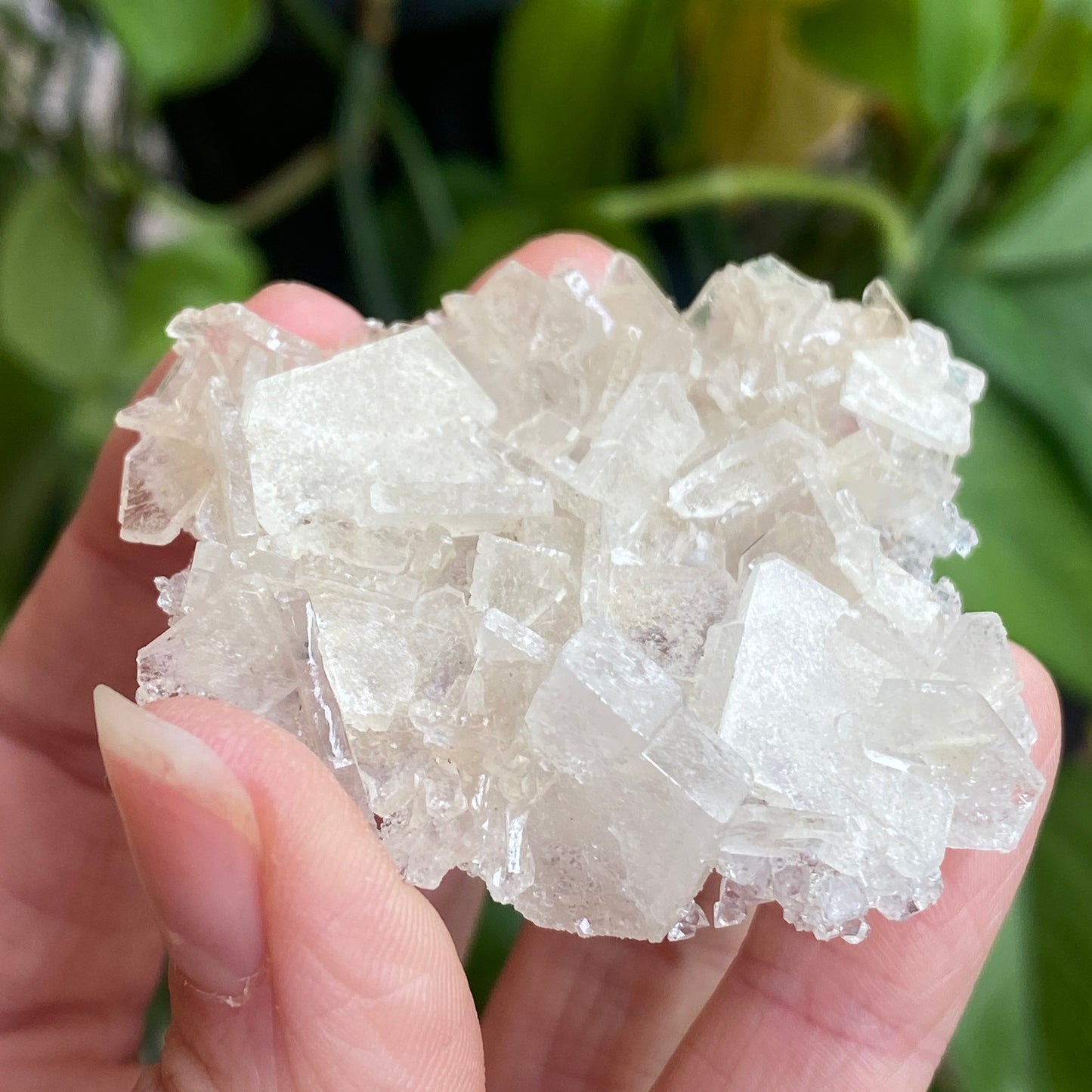Barite on Apophyllite Specimen