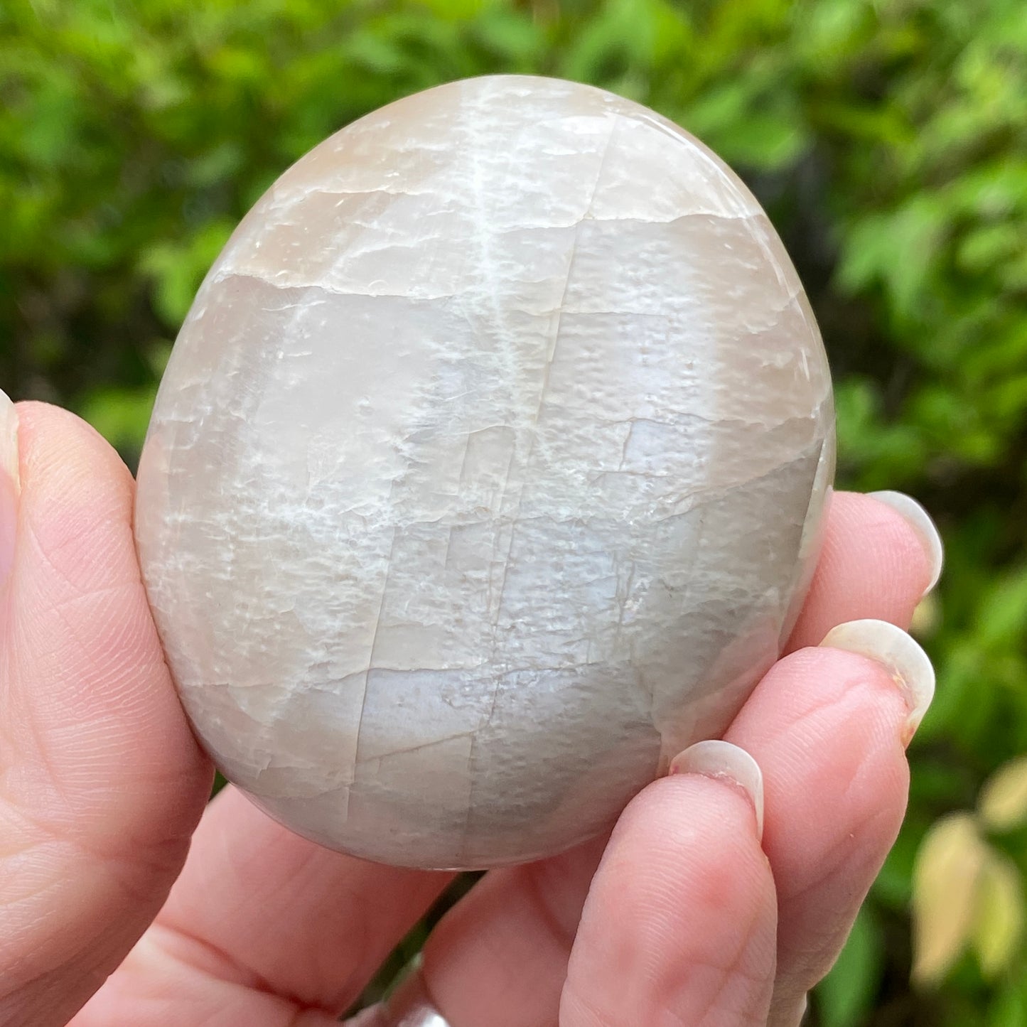 Black Moonstone Palm Stone, Gray Moonstone