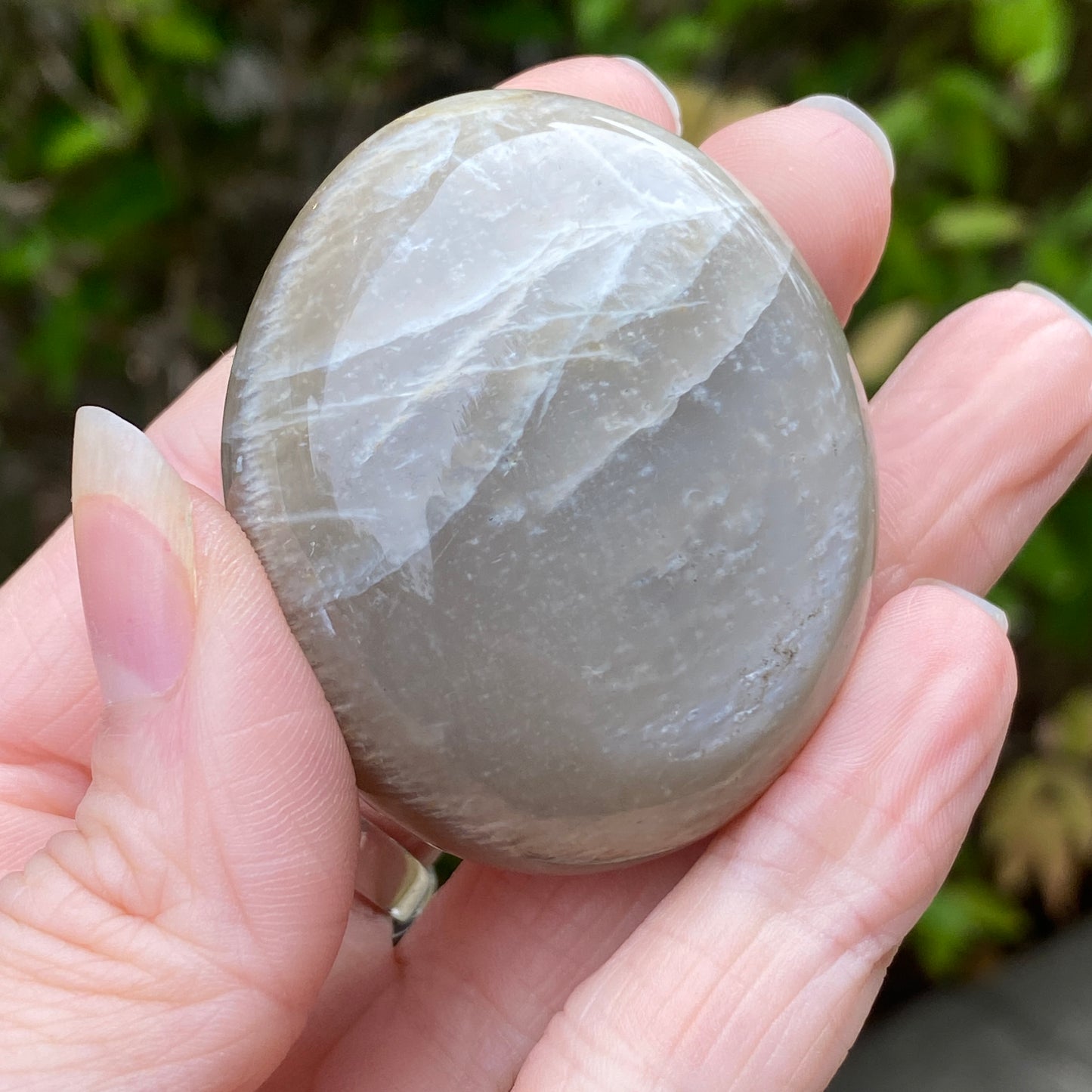 Black Moonstone Palm Stone, Gray Moonstone