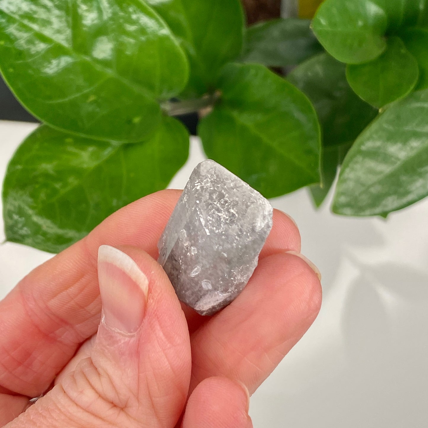 Rare Blue Danburite, Bolivia