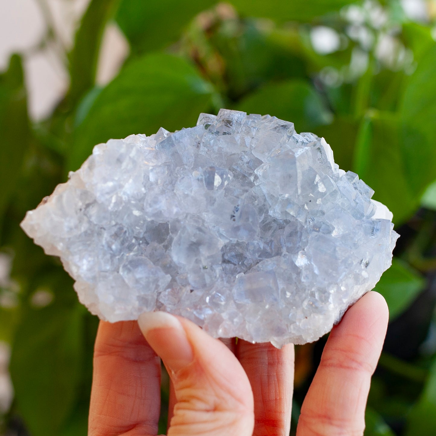 Blue Fluorite with Barite, Jaimina Mine, Asturias, Spain