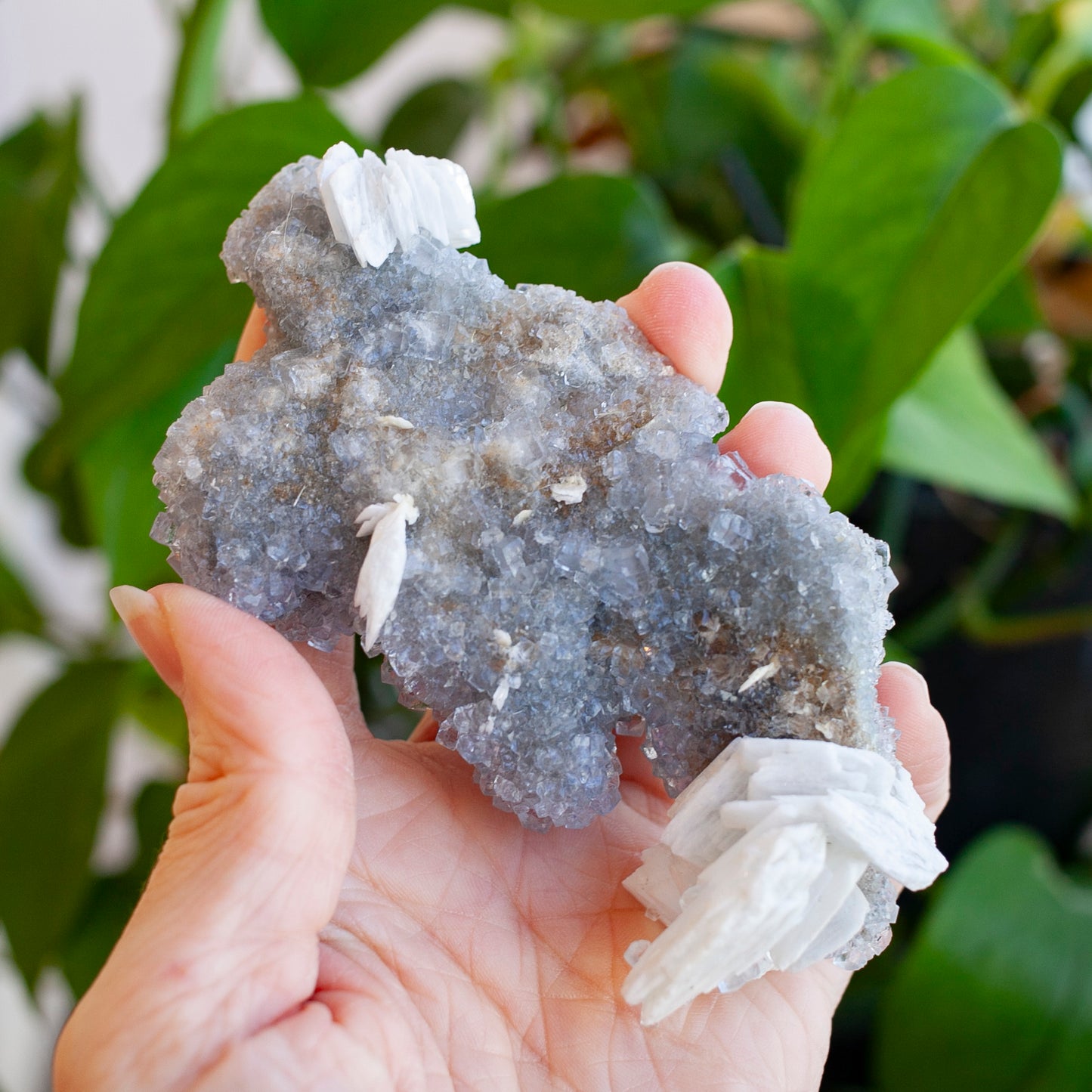 Blue Fluorite with Barite, Jaimina Mine, Asturias, Spain