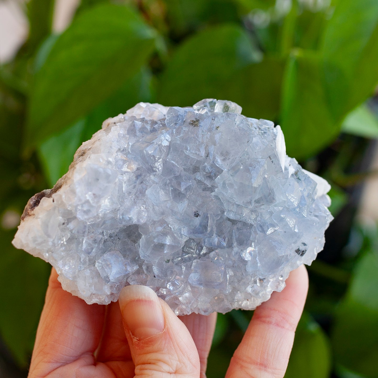 Blue Fluorite with Barite, Jaimina Mine, Asturias, Spain