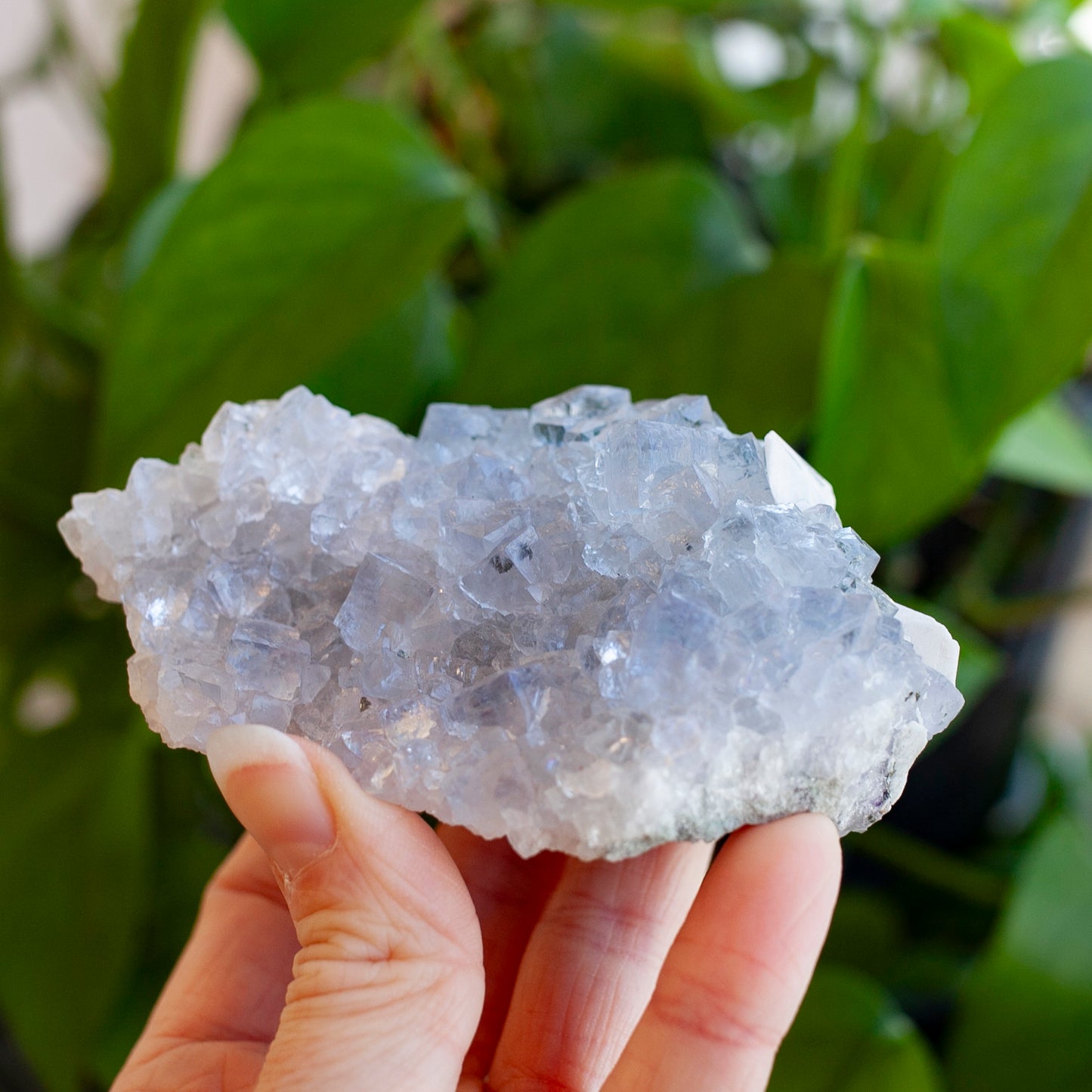 Blue Fluorite with Barite, Jaimina Mine, Asturias, Spain