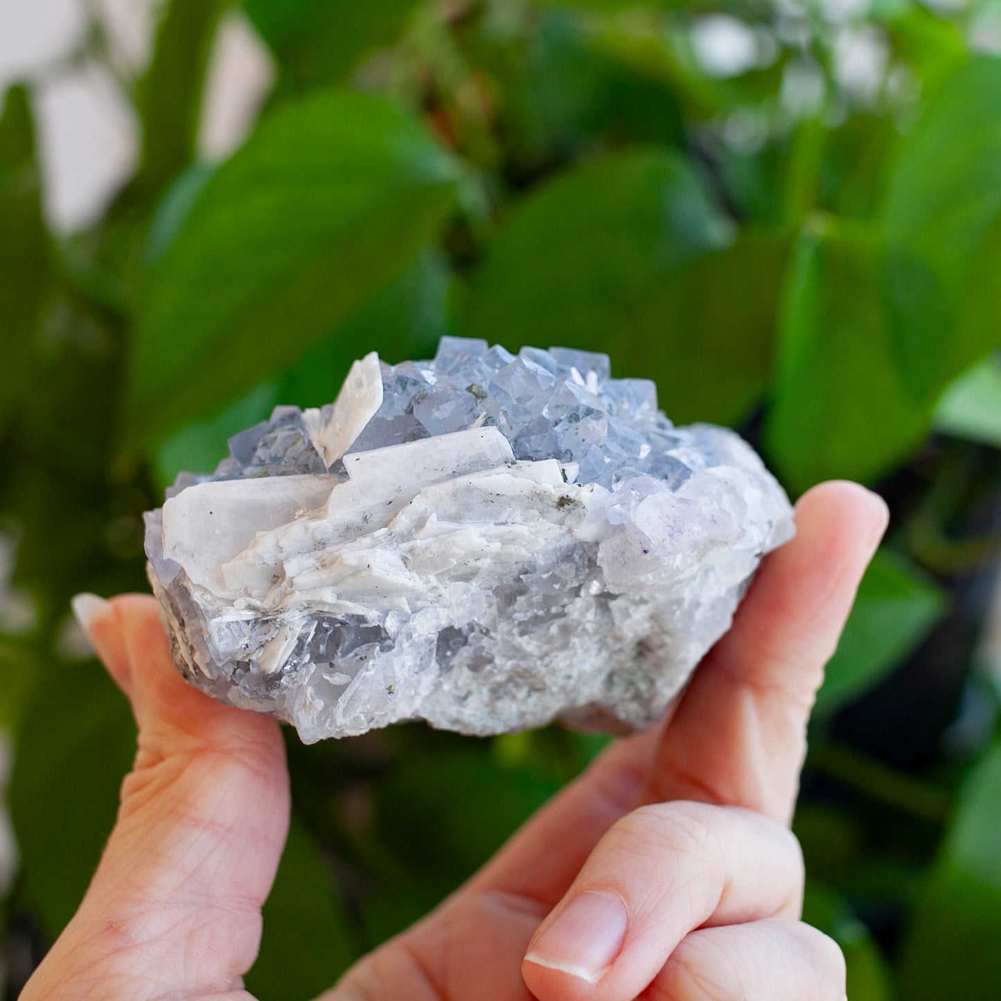 Blue Fluorite with Barite, Jaimina Mine, Asturias, Spain