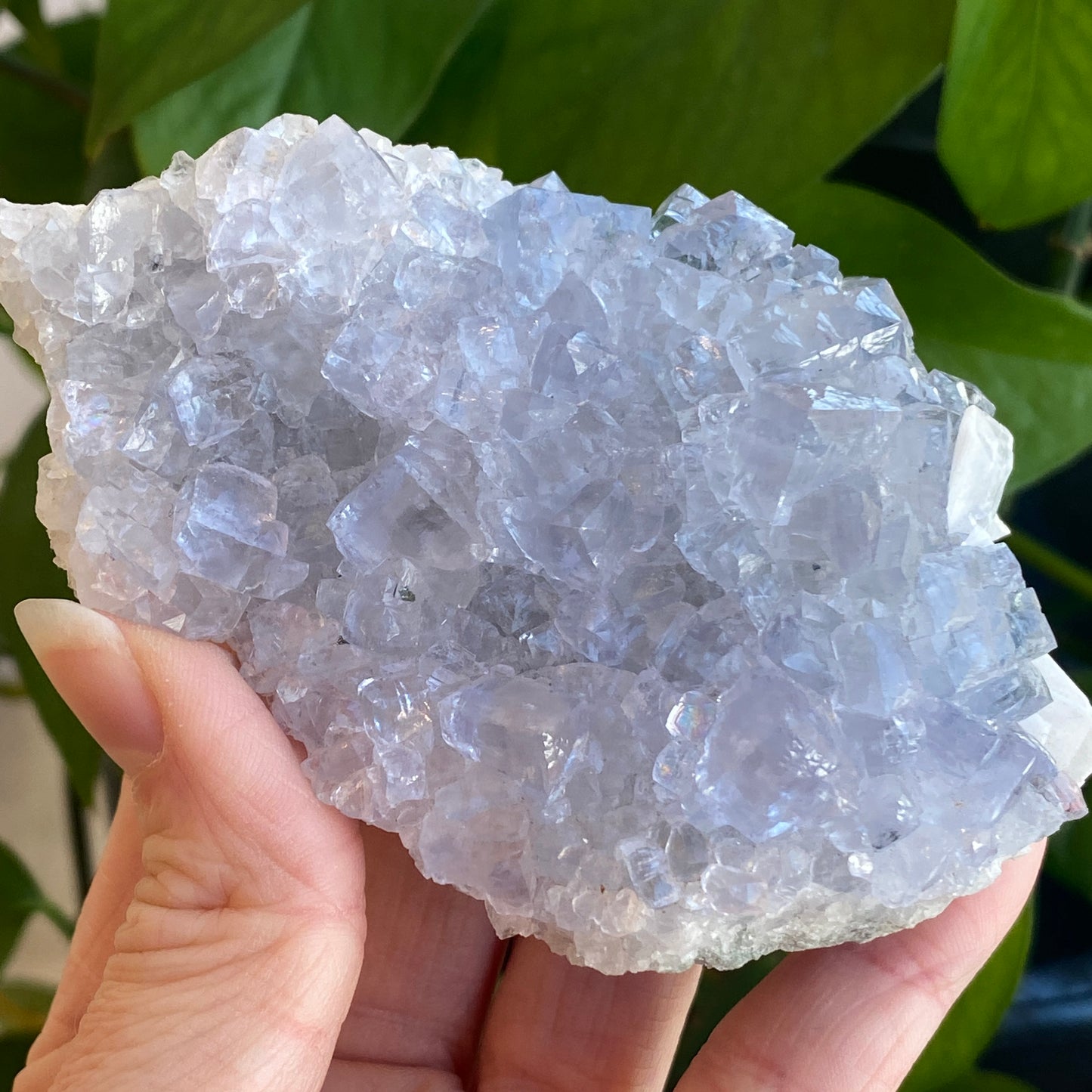 Blue Fluorite with Barite, Jaimina Mine, Asturias, Spain