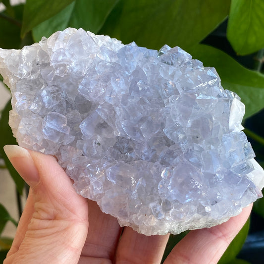 Blue Fluorite with Barite, Jaimina Mine, Asturias, Spain