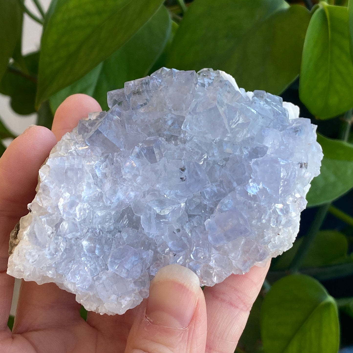 Blue Fluorite with Barite, Jaimina Mine, Asturias, Spain