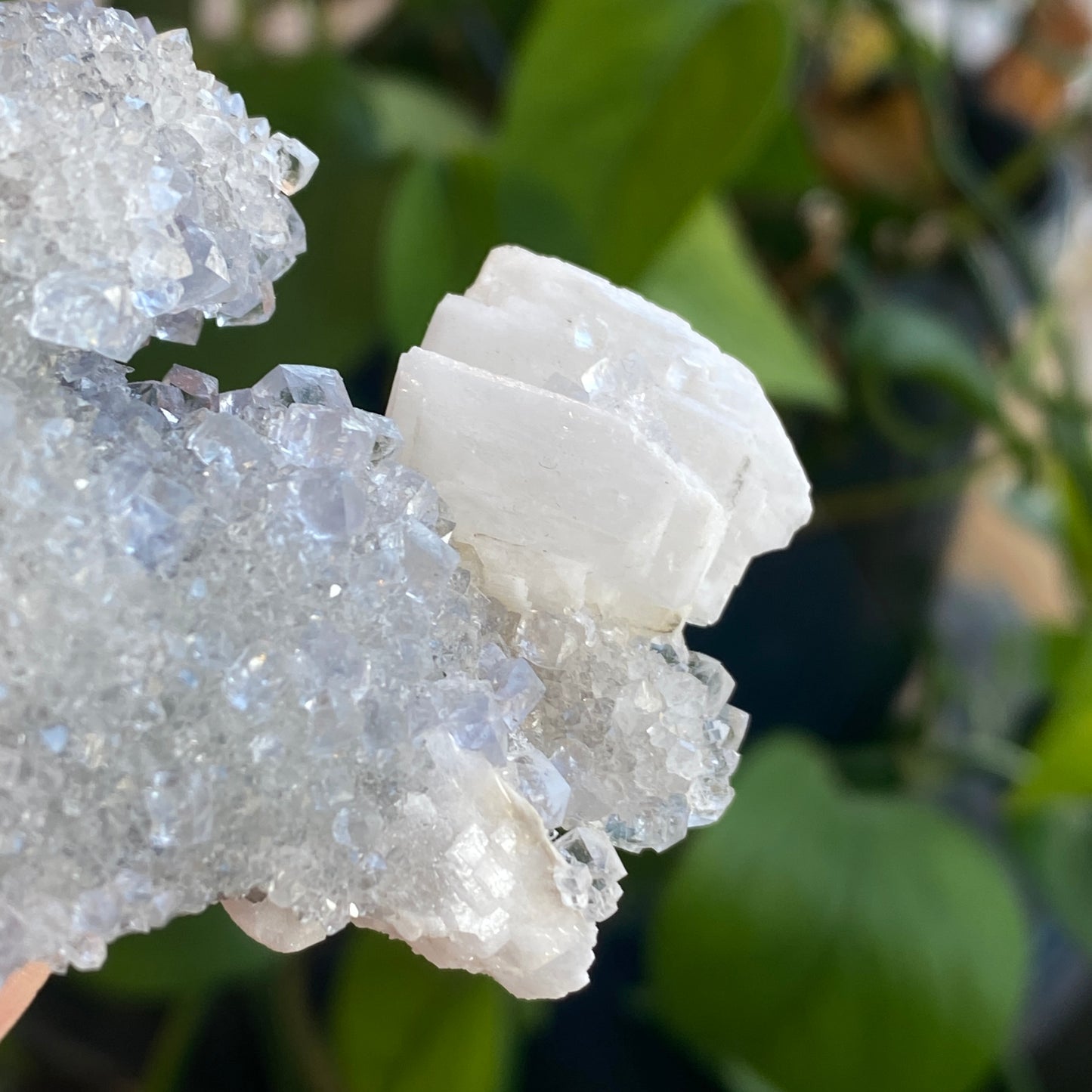 Blue Fluorite with Barite, Jaimina Mine, Asturias, Spain