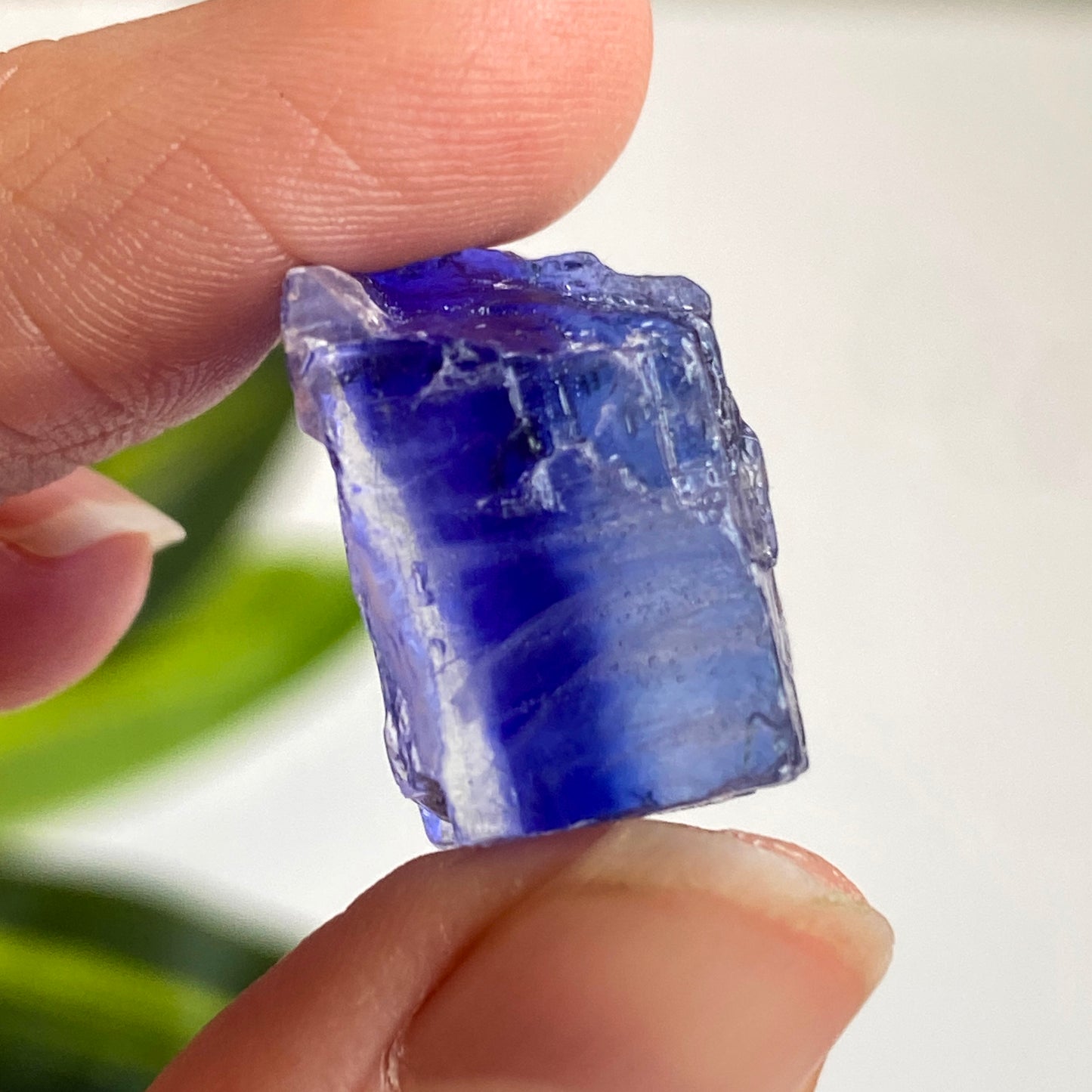 Blue Halite