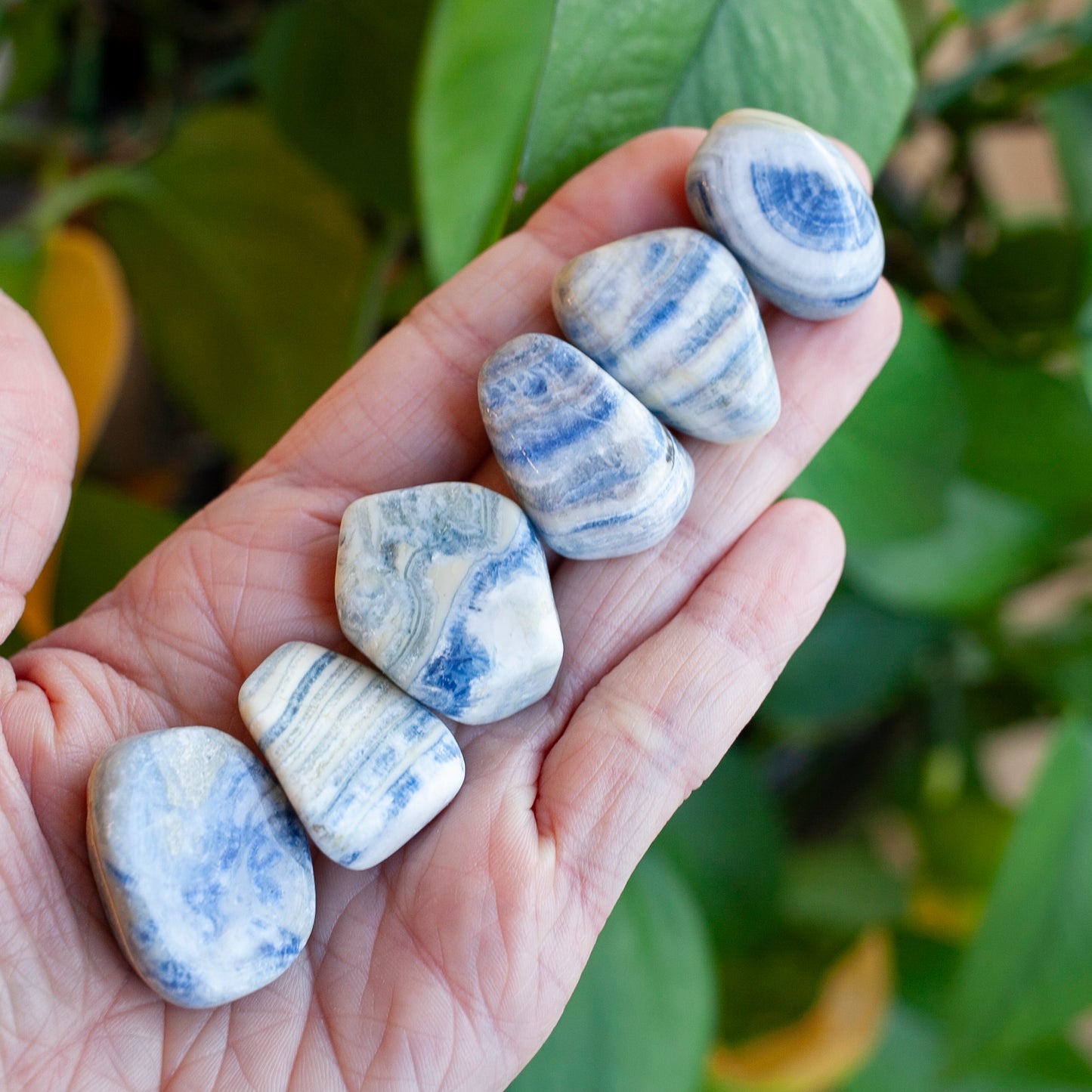 Blue Scheelite Stone, Turkish Calcite in Dolomite