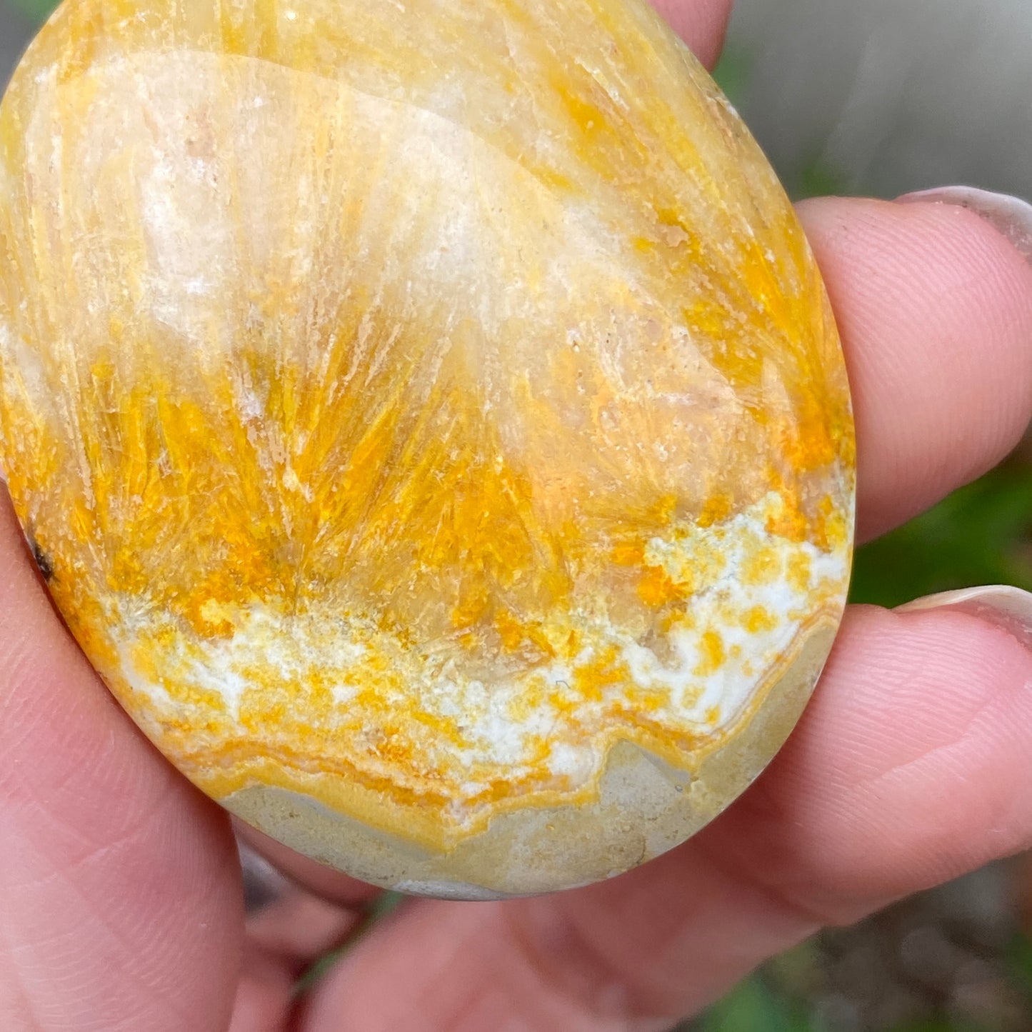 Bumblebee Jasper Palm Stone