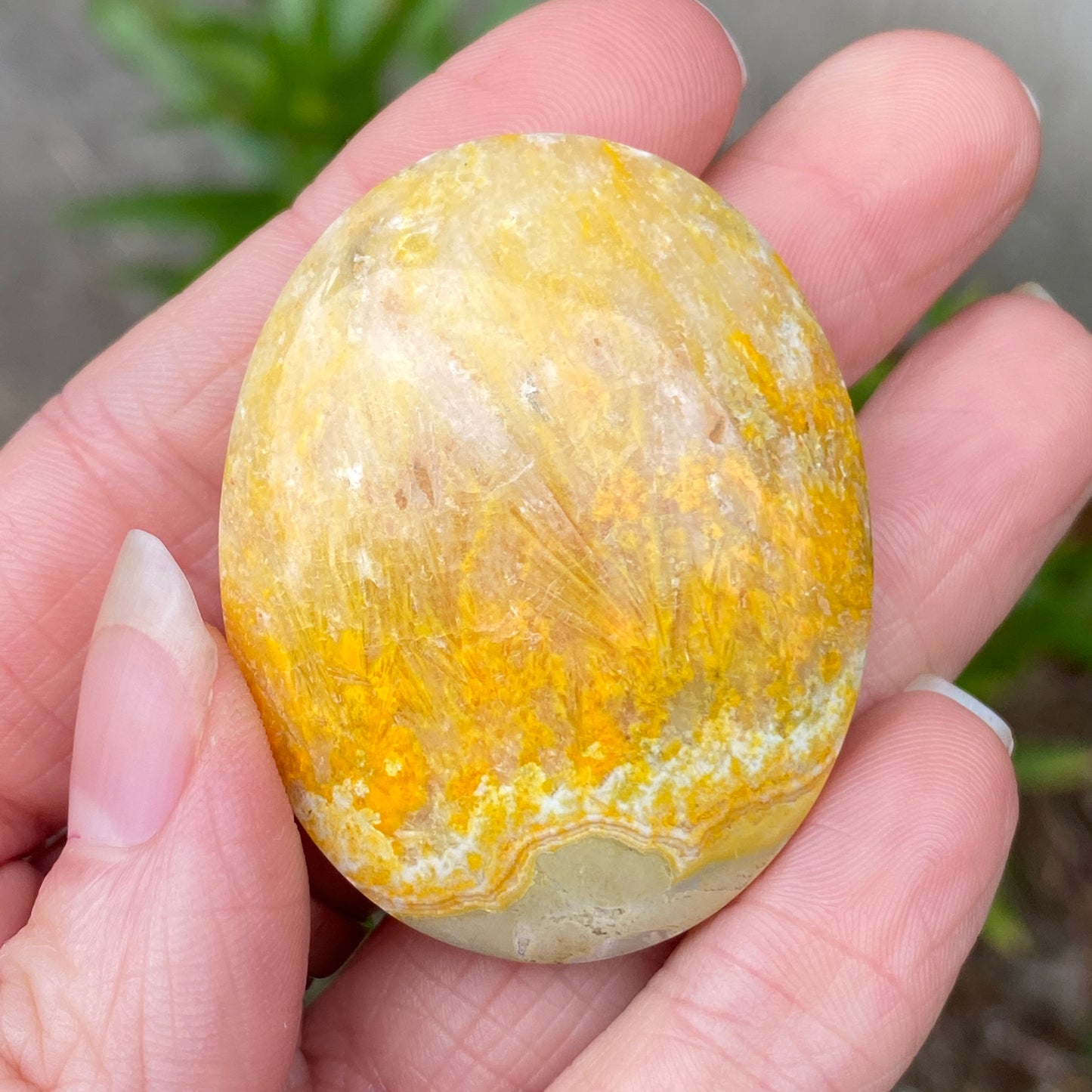 Bumblebee Jasper Palm Stone