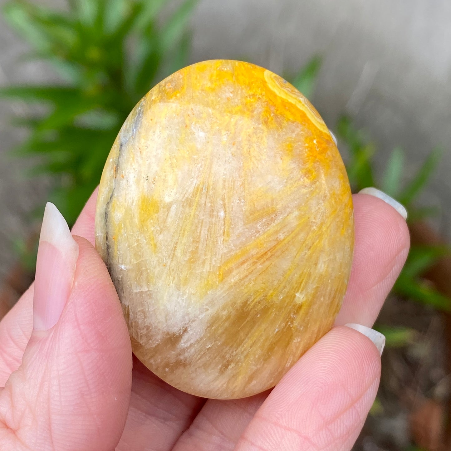 Bumblebee Jasper Palm Stone