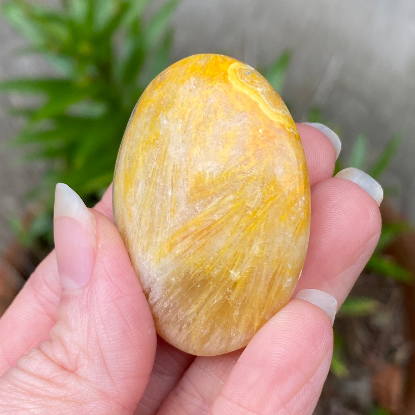 Bumblebee Jasper Palm Stone