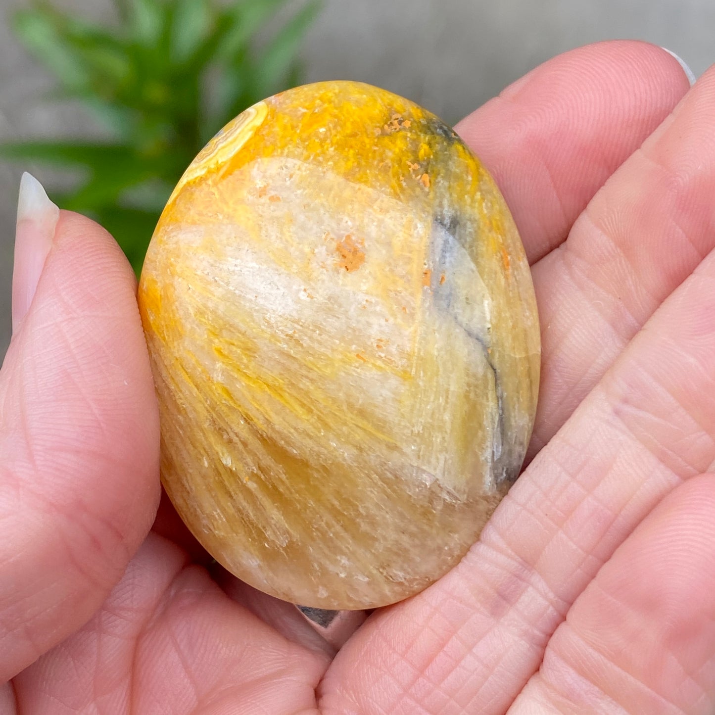 Bumblebee Jasper Palm Stone