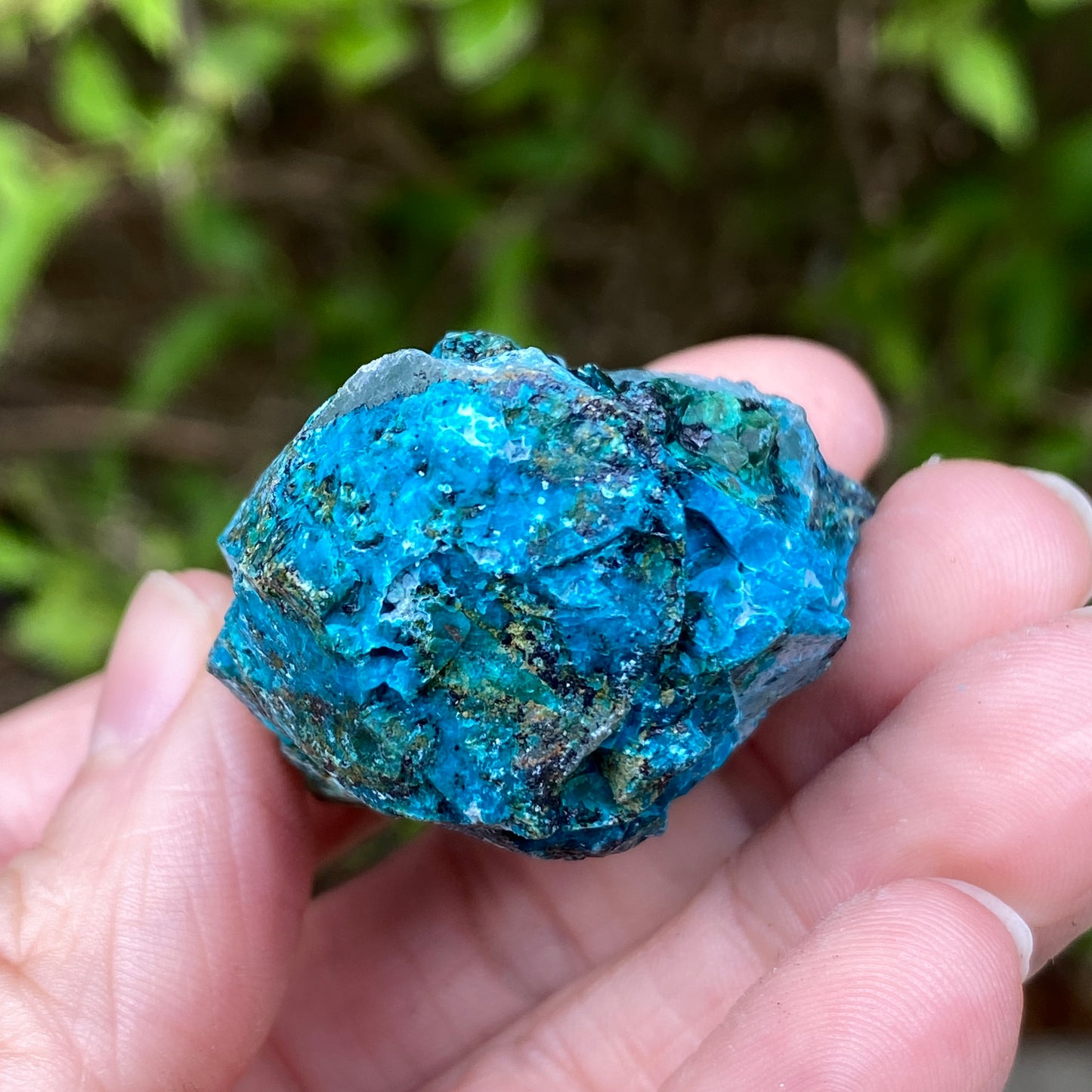 Chrysocolla Quartz