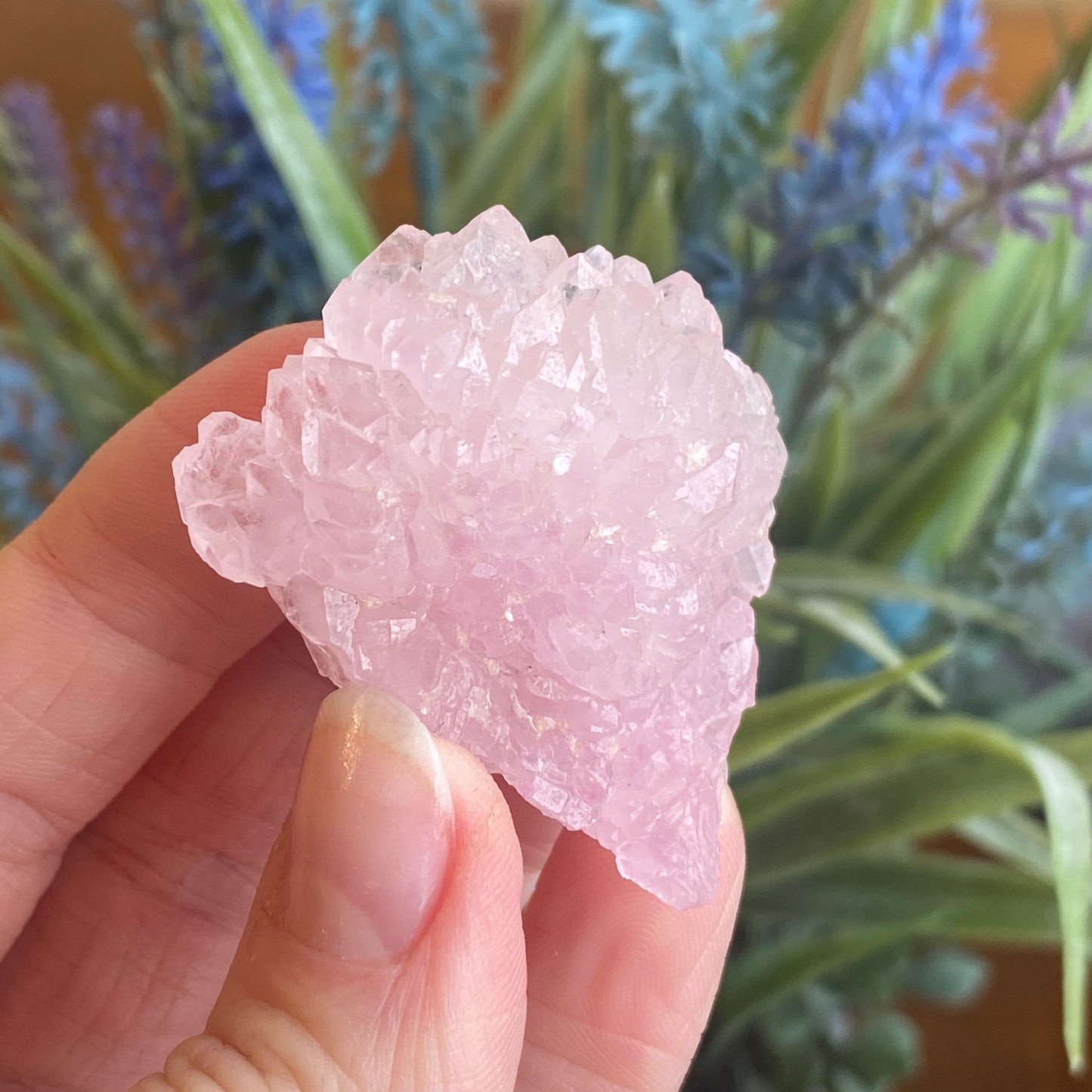 Crystallized Rose Quartz, Rare