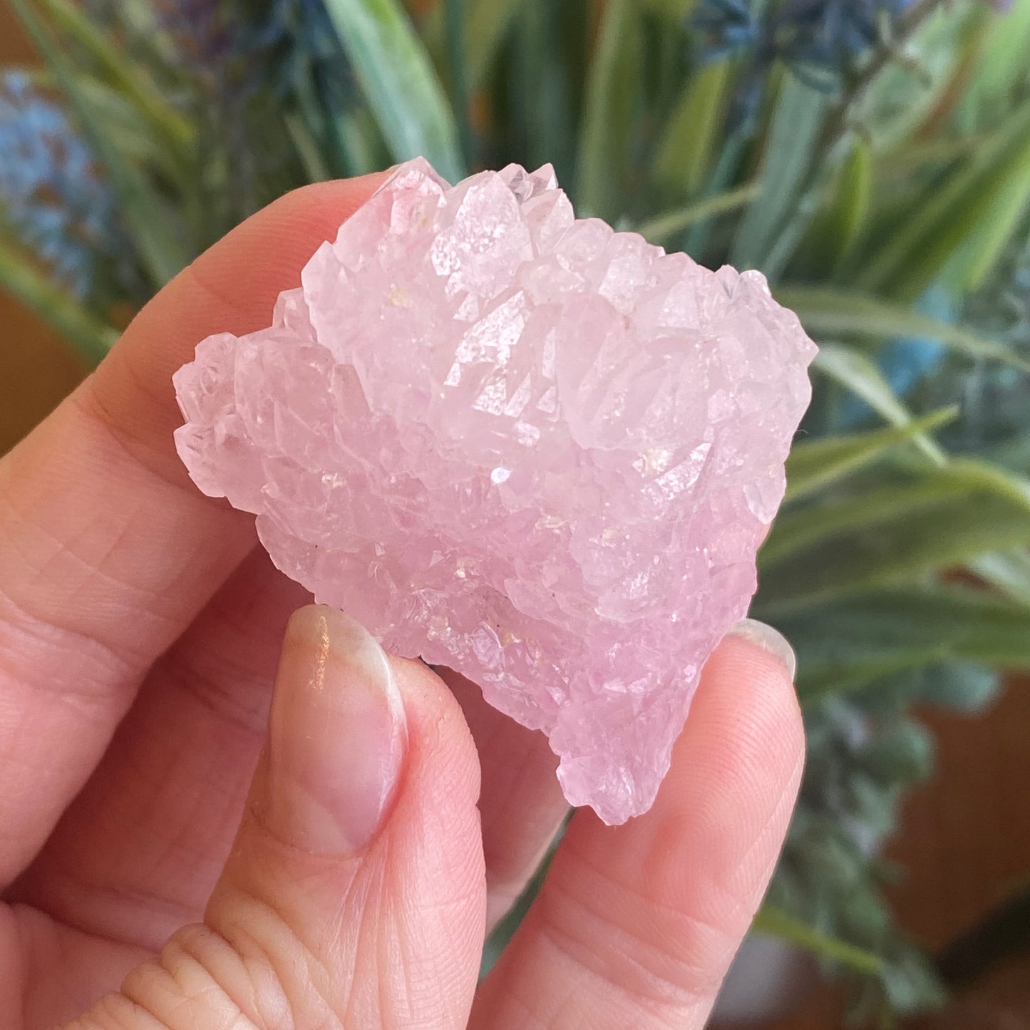 Crystallized Rose Quartz, Rare