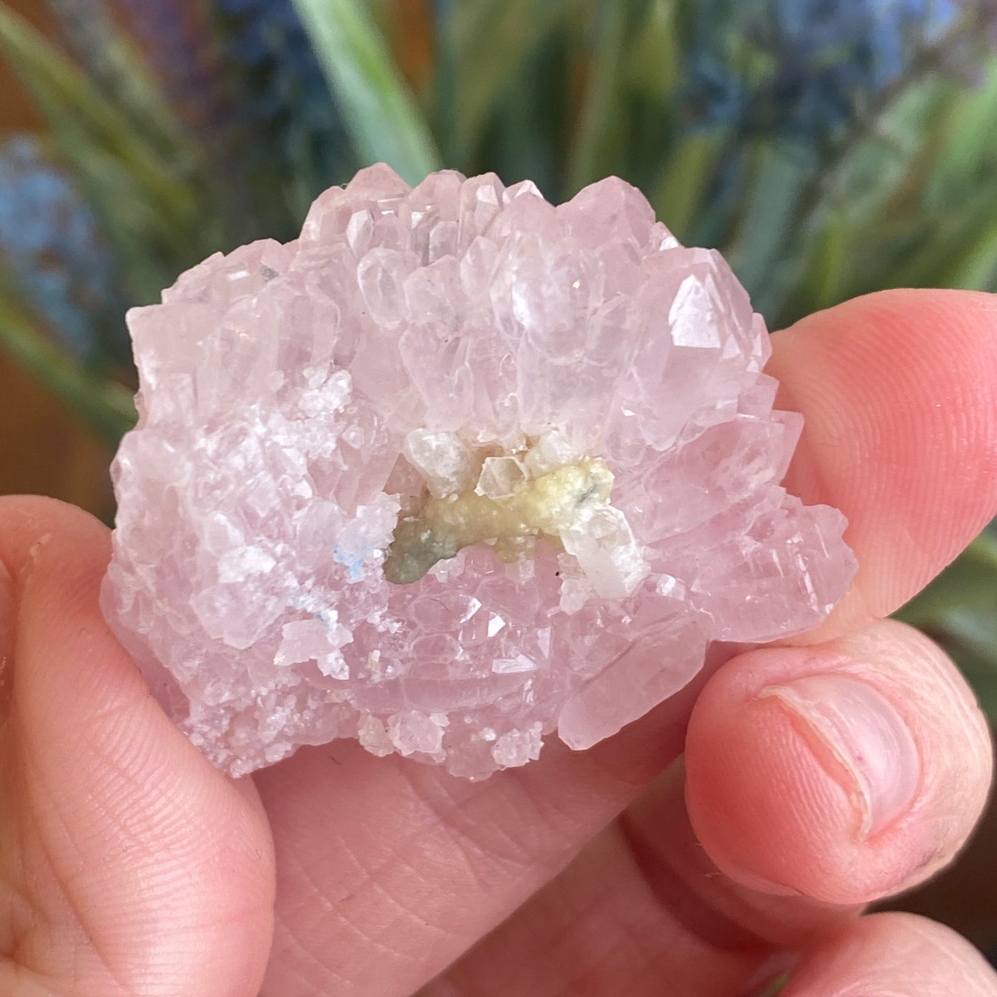 Crystallized Rose Quartz, Rare