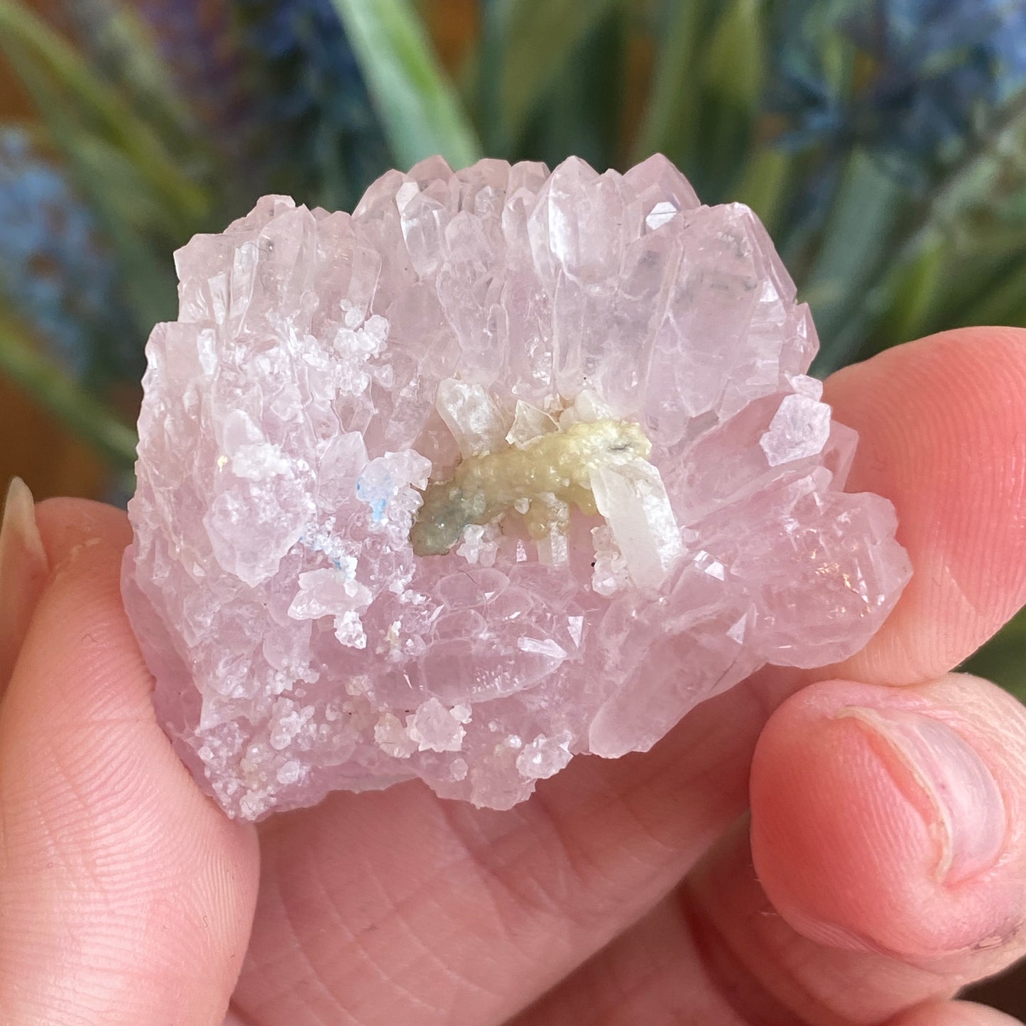 Crystallized Rose Quartz, Rare
