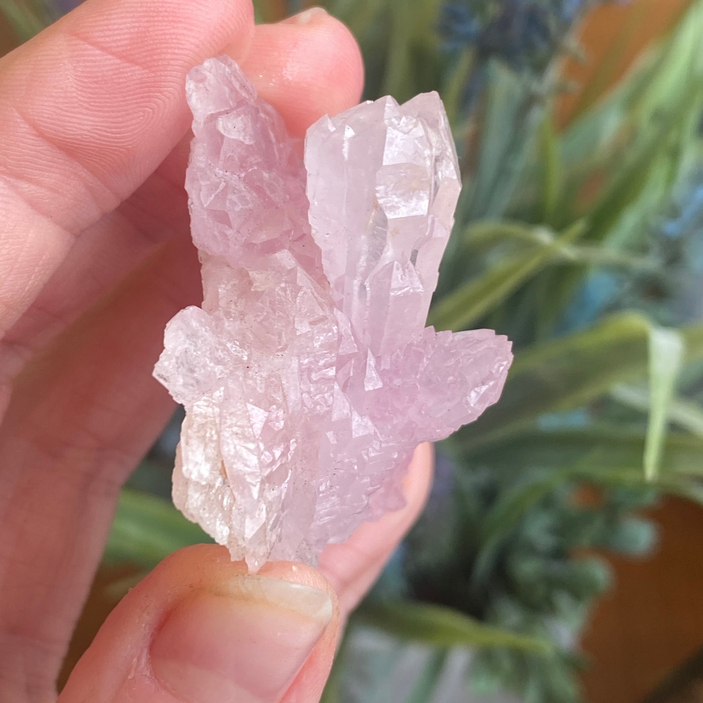 Crystallized Rose Quartz, Rare Scepter Formation