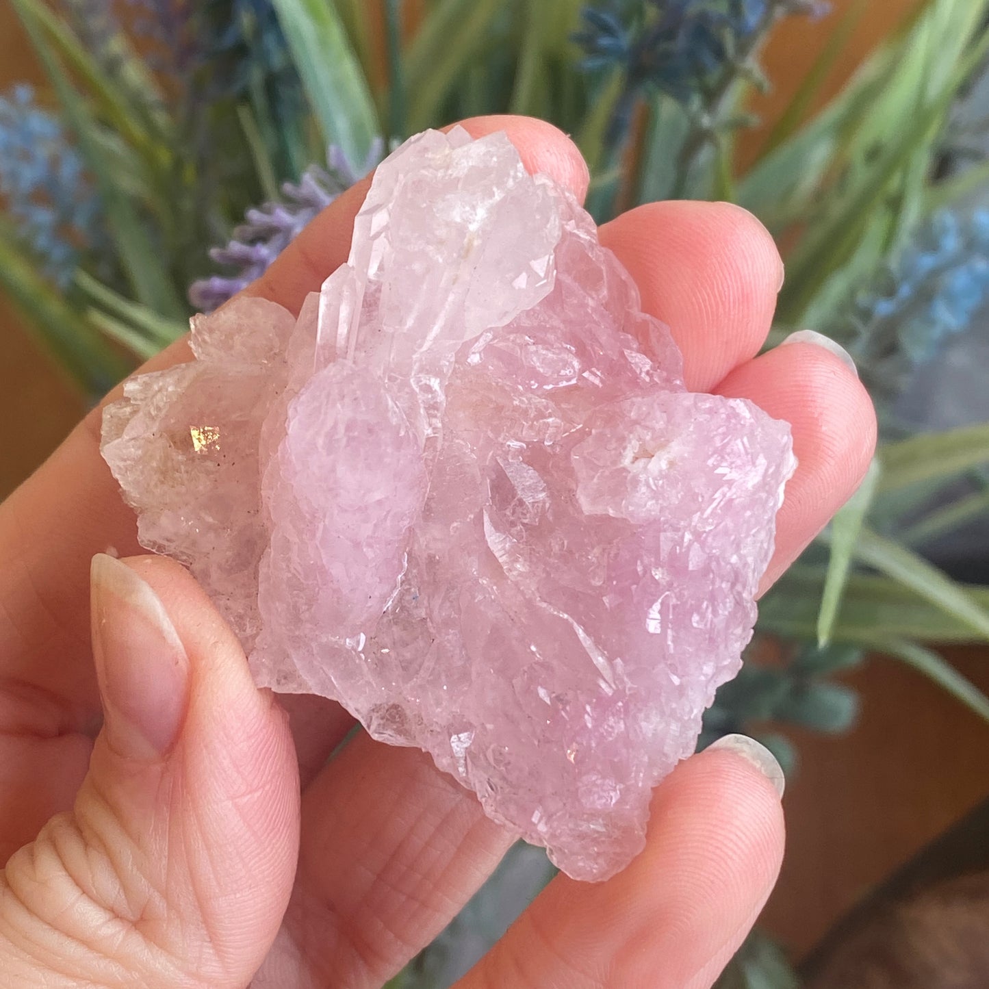 Crystallized Rose Quartz, Rare Scepter Formation