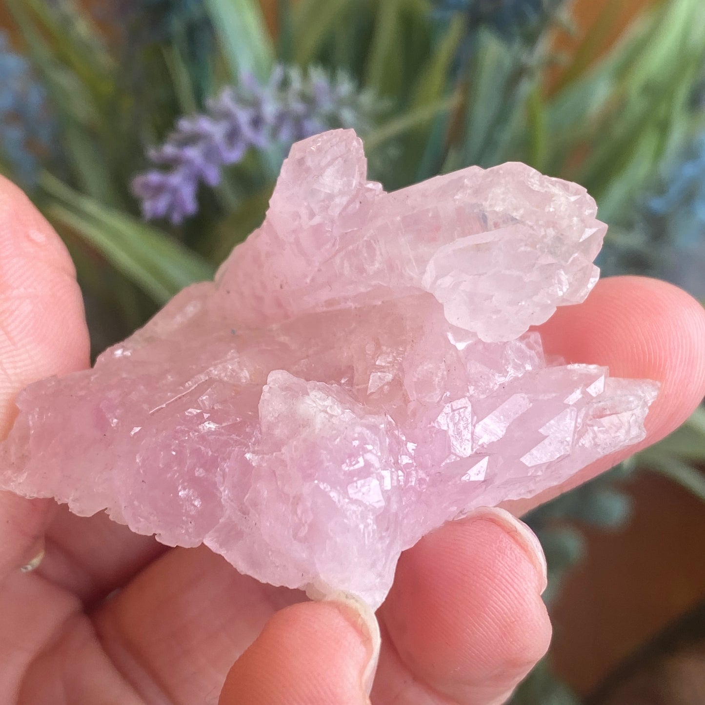 Crystallized Rose Quartz, Rare Scepter Formation
