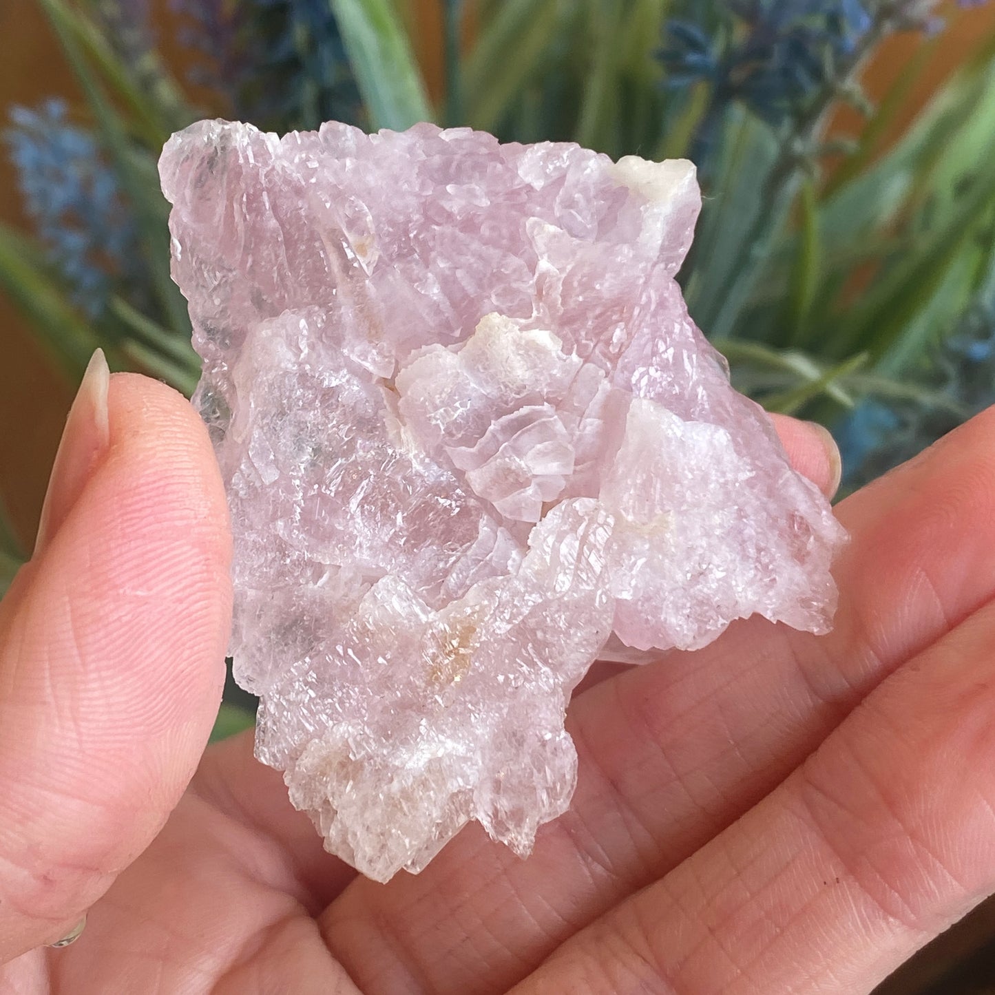 Crystallized Rose Quartz, Rare Scepter Formation
