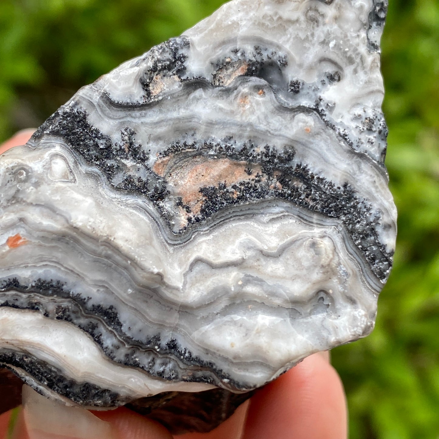 Dendritic Calcite Specimen