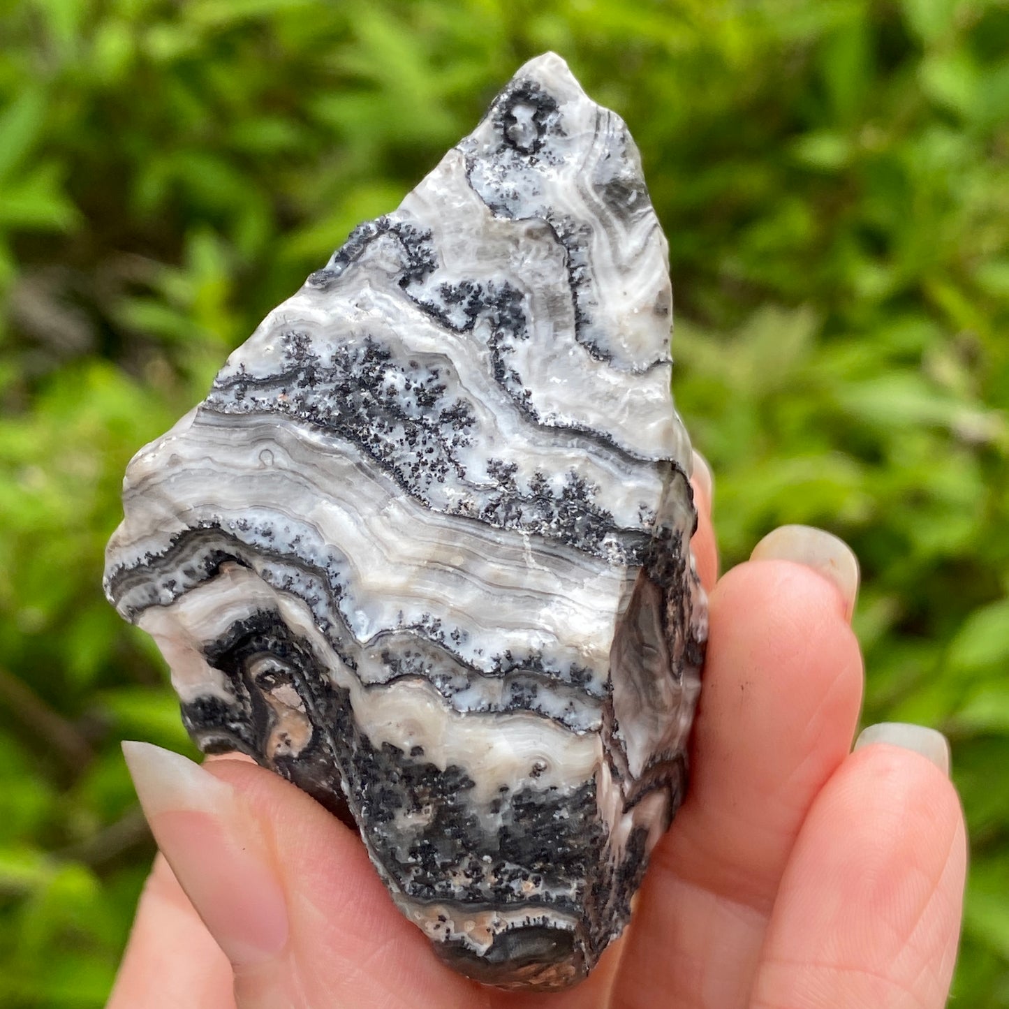 Dendritic Calcite Specimen