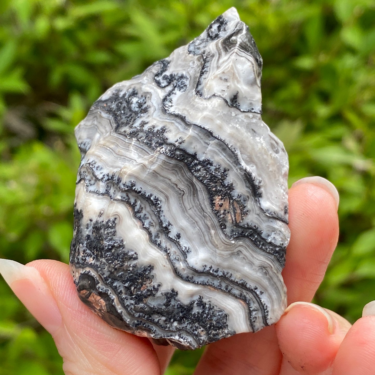 Dendritic Calcite Specimen