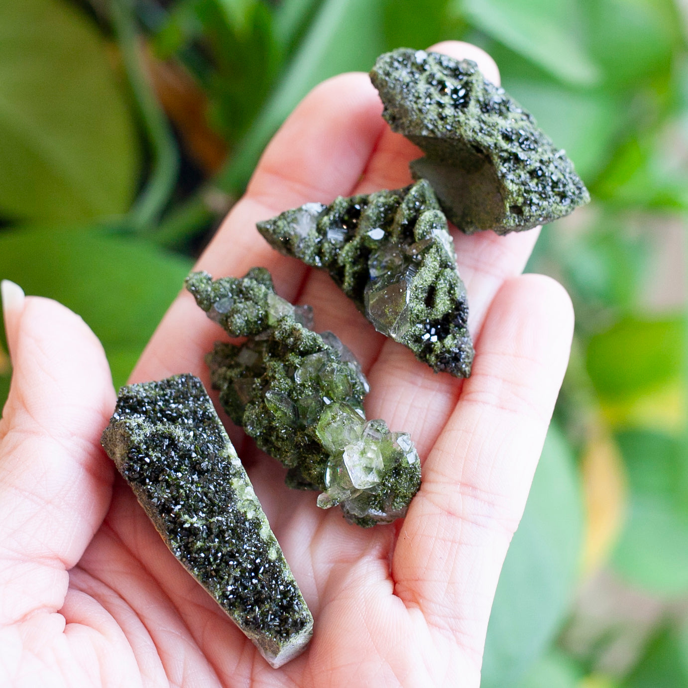 Epidote on Quartz, Turkey