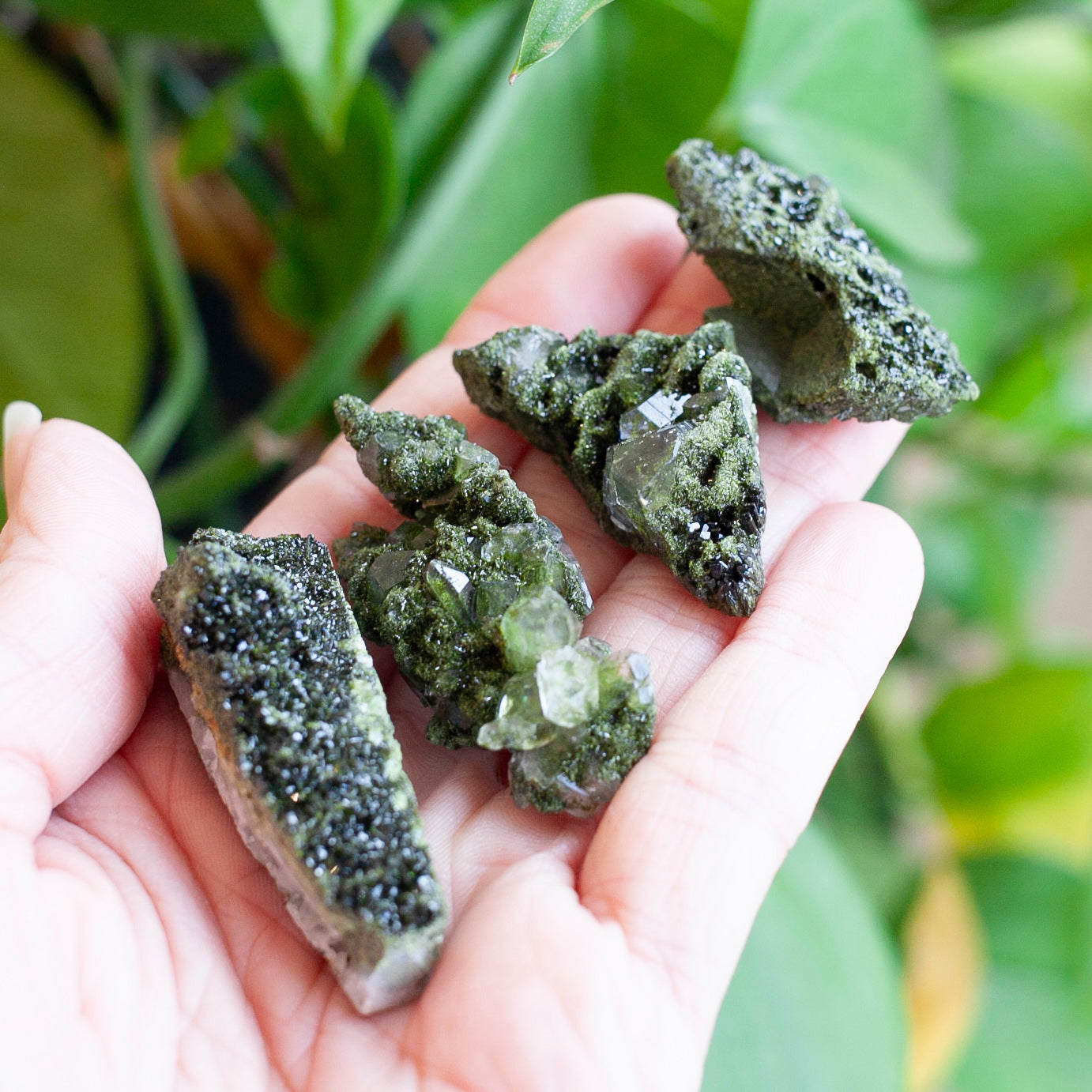Epidote on Quartz, Turkey
