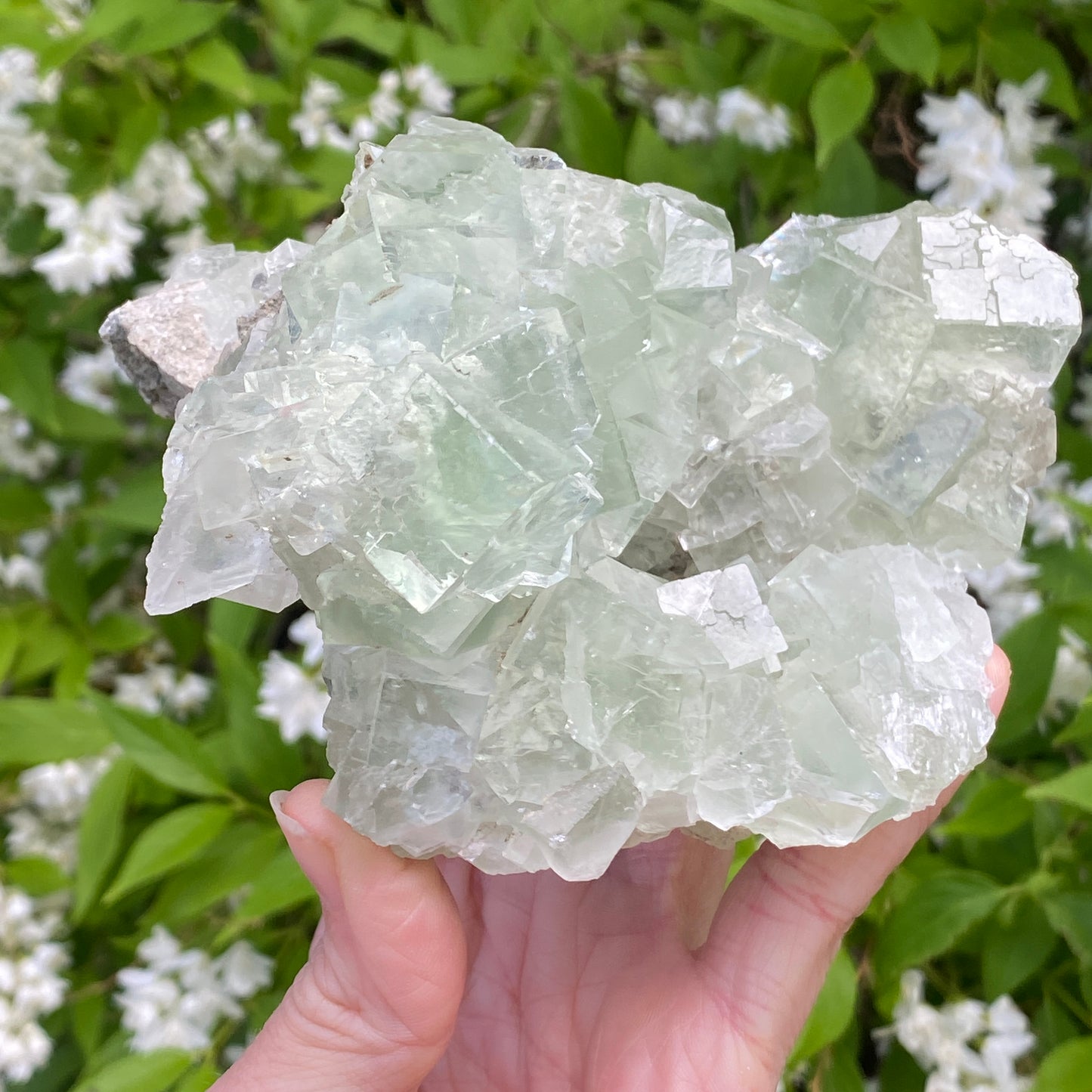 Large Green Fluorite, Hunan