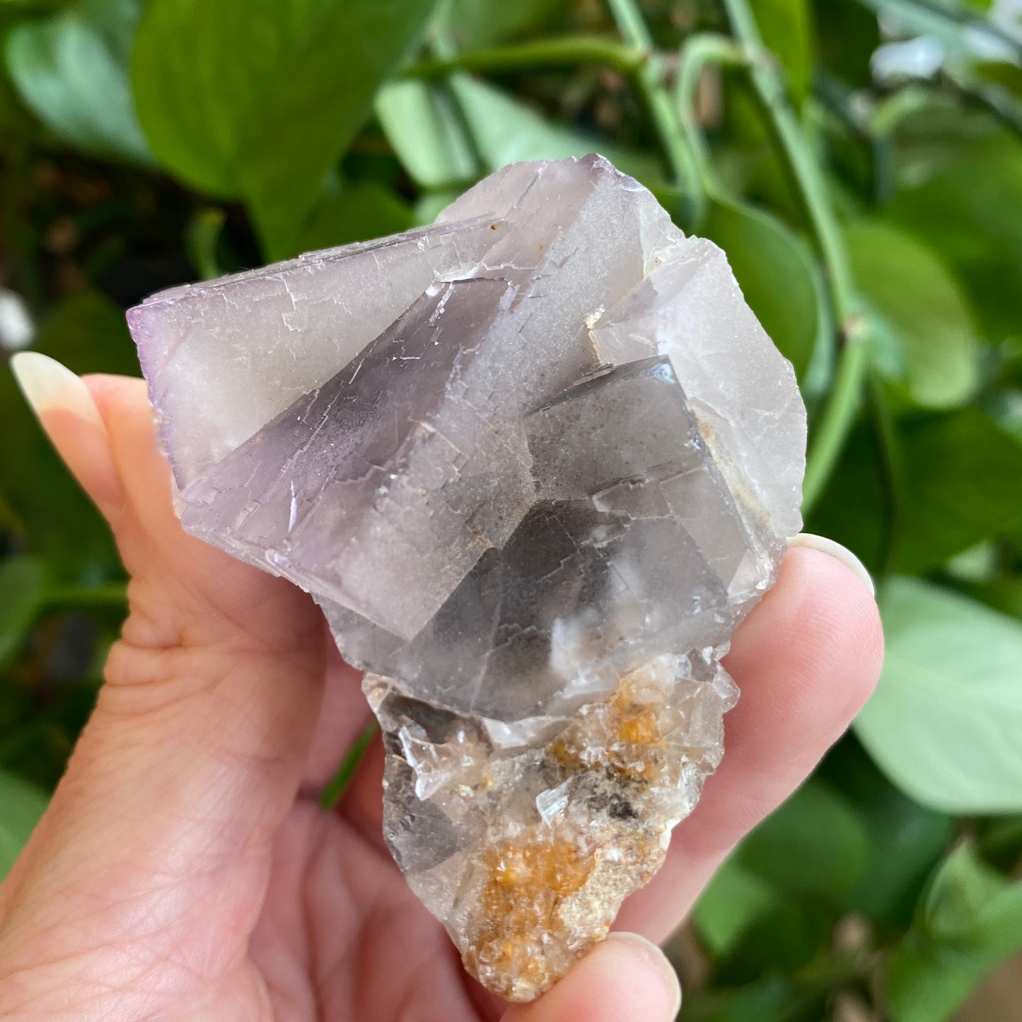Fluorescent Fluorite Specimen, Deer Trail Mine Utah