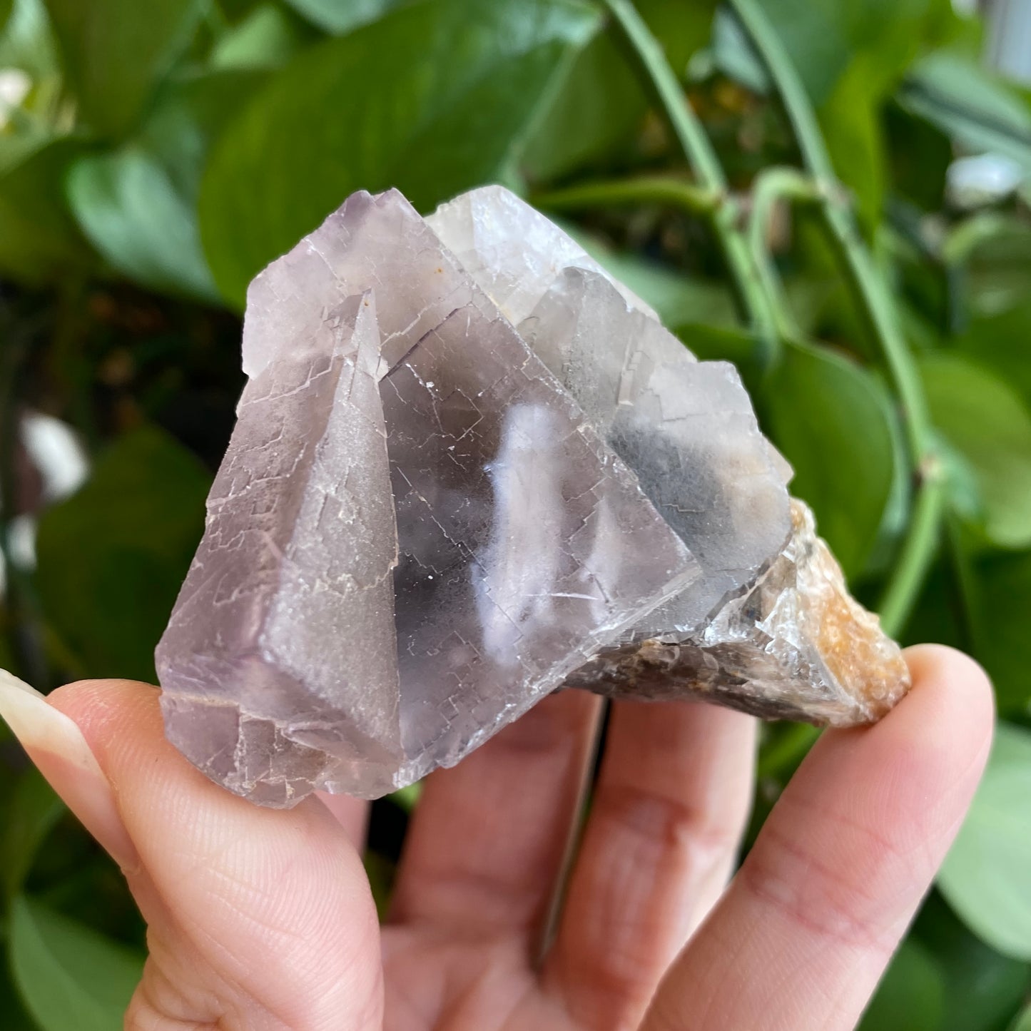 Fluorescent Fluorite Specimen, Deer Trail Mine Utah